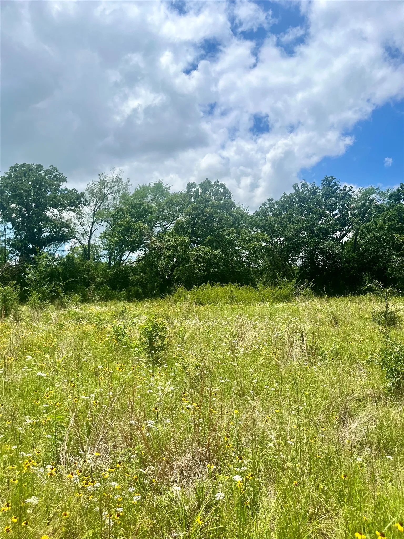Ranch For Sale in Limestone County , TBD FM 39, Groesbeck, Texas 76642, 0, 0, Garage spaces, 0 Sqft, built in 0, mls#21298120, Real Estate Agent in Groesbeck, Homes For Sale in Limestone county, Homes For Sale in Groesbeck, Realtor in Groesbeck Texas, Real Estate Brokerage Independent Realty Texas, Luminita Cordes Realtor