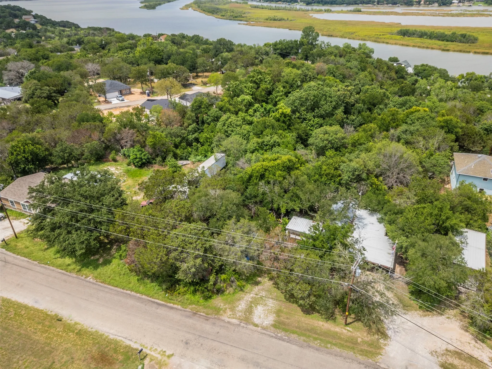 Aerial perspective highlighting expansive tree coverage