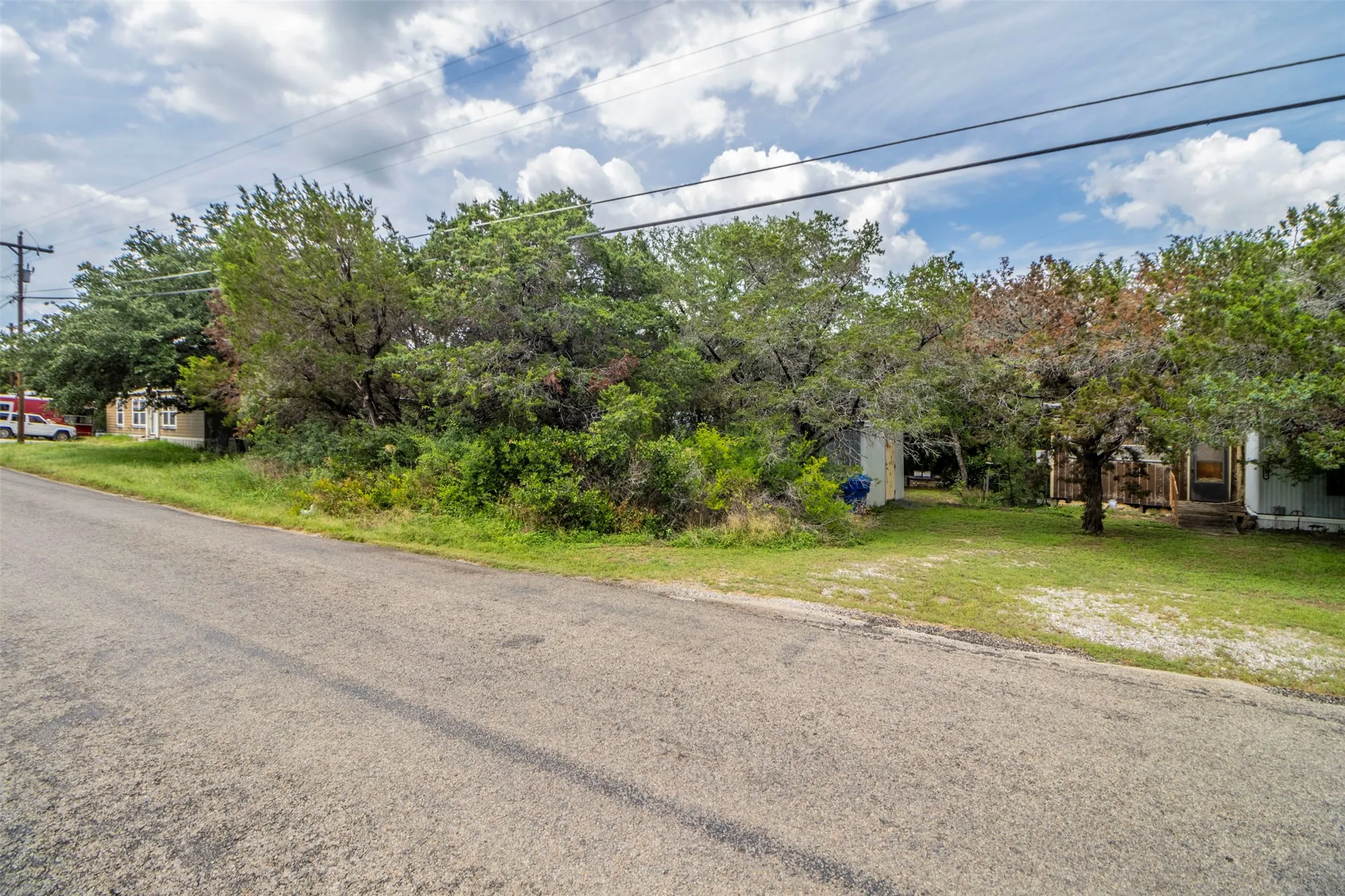 Paved road frontage with mature trees and natural landscaping