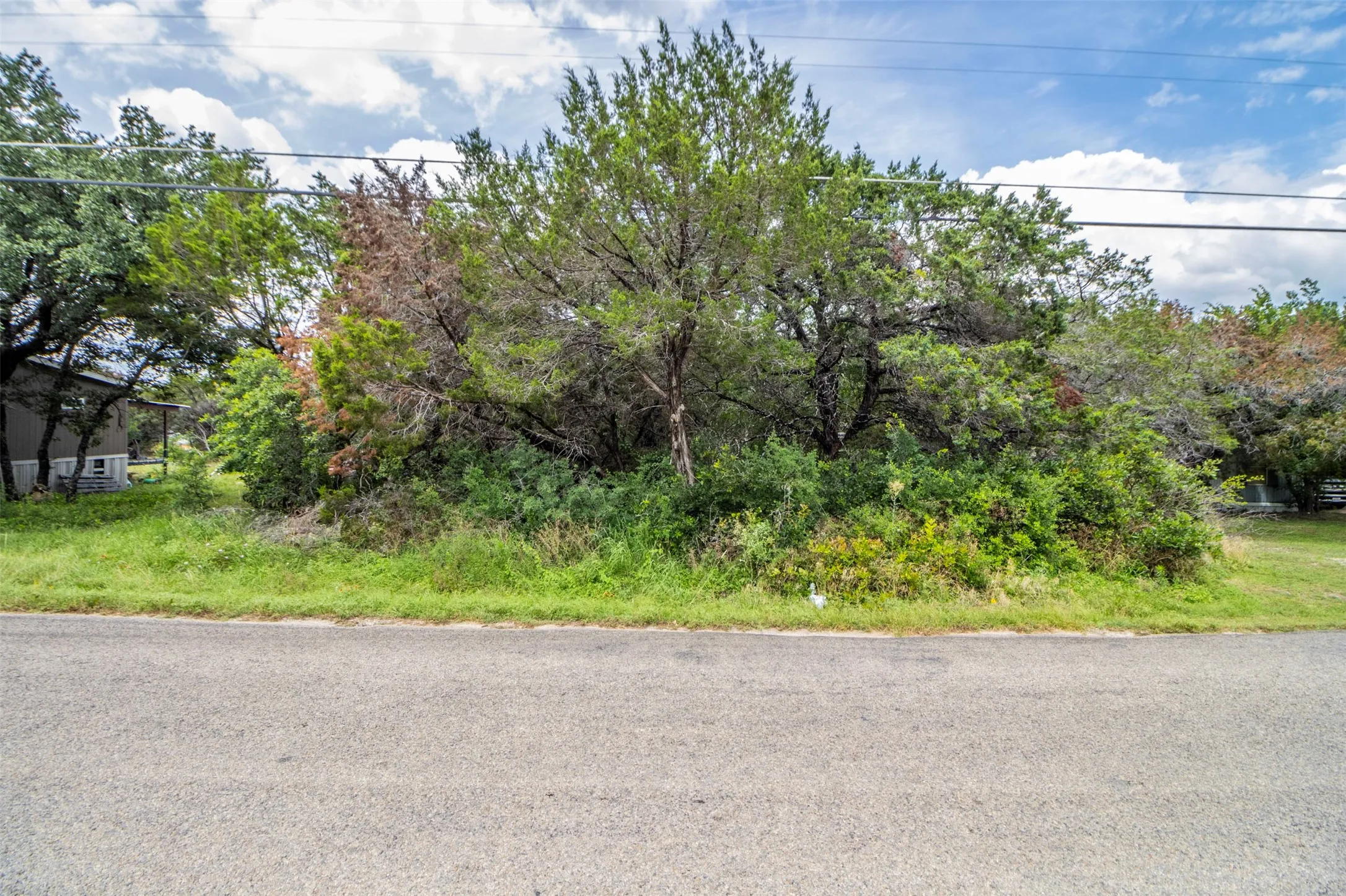 Naturally wooded lot featuring mature trees and established greenery