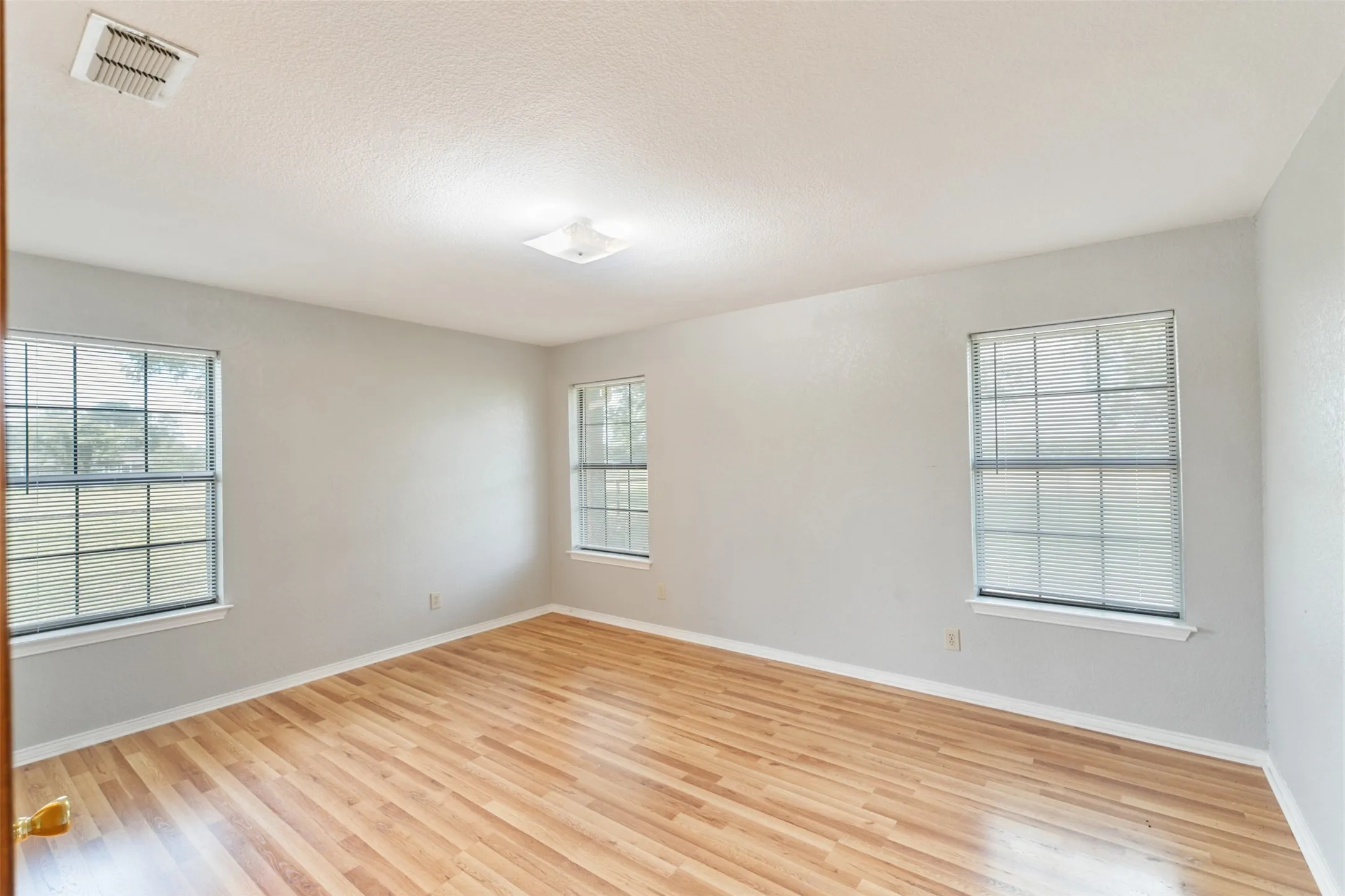 Bright interior room featuring wood-finish flooring, light gray wall paint, and white trim