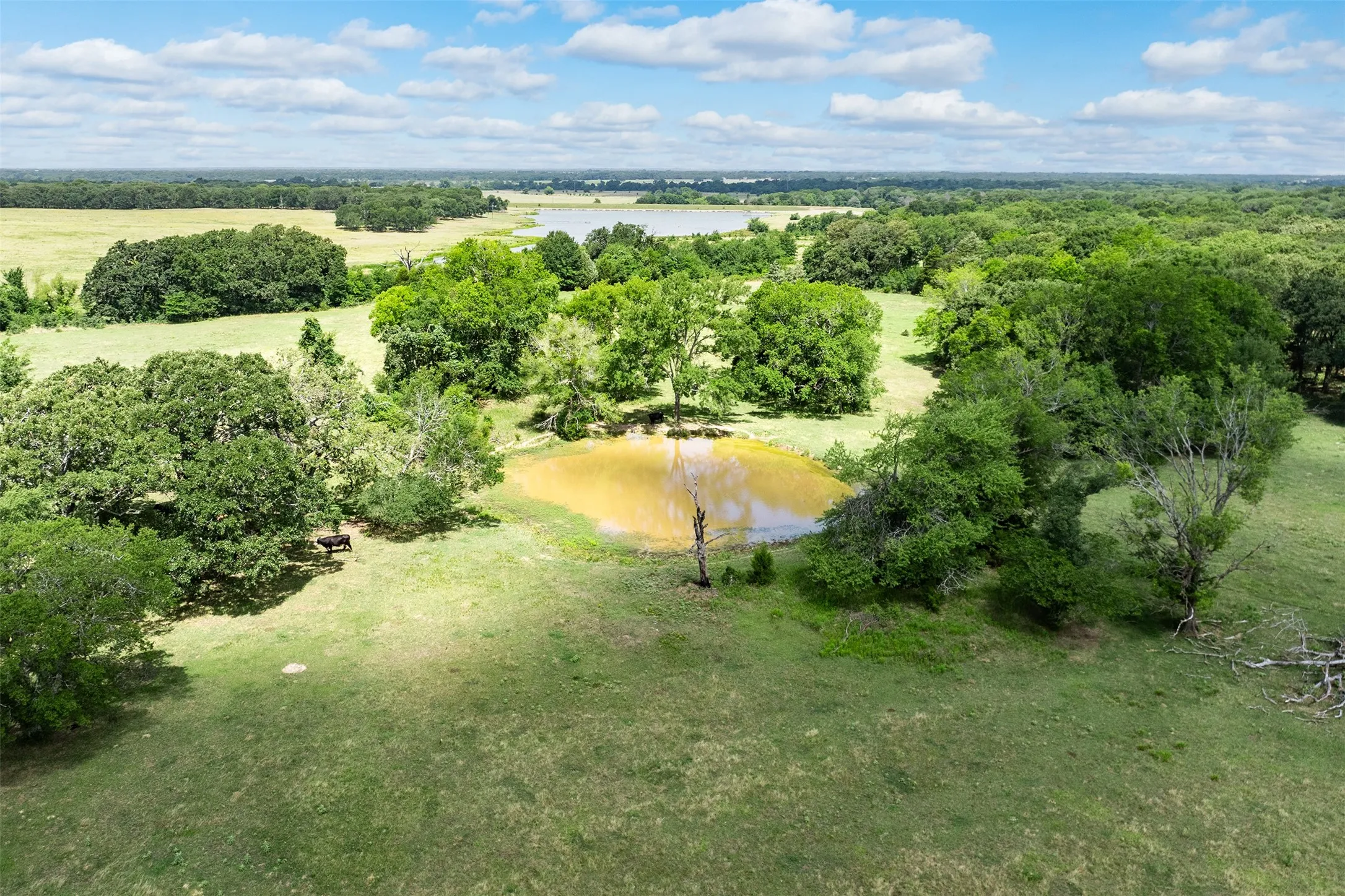 Expansive rural landscape featuring a central pond, verdant grasslands, and mature tree clusters