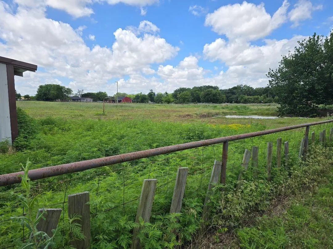 View of the pond from back yard of house looking across the south paddock to Country Club Road