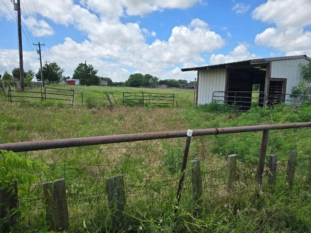 Horse Barn