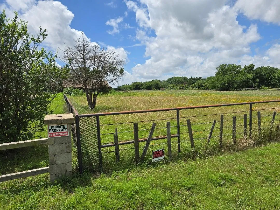 Division point  of Lots #4 & 41 as seen from Creek Bend looking north