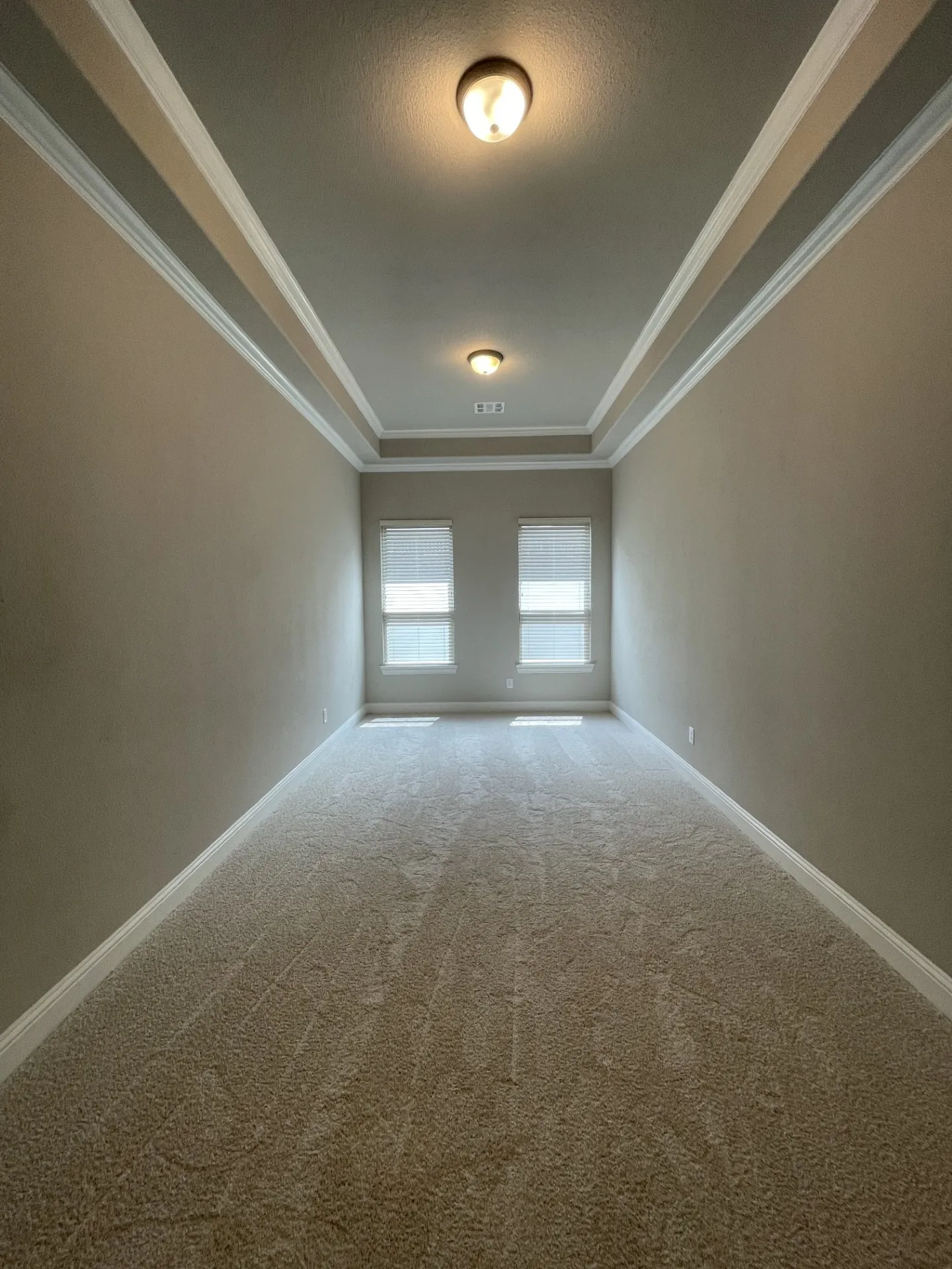 Recessed tray ceiling with crown molding, featuring two flush-mount light fixtures