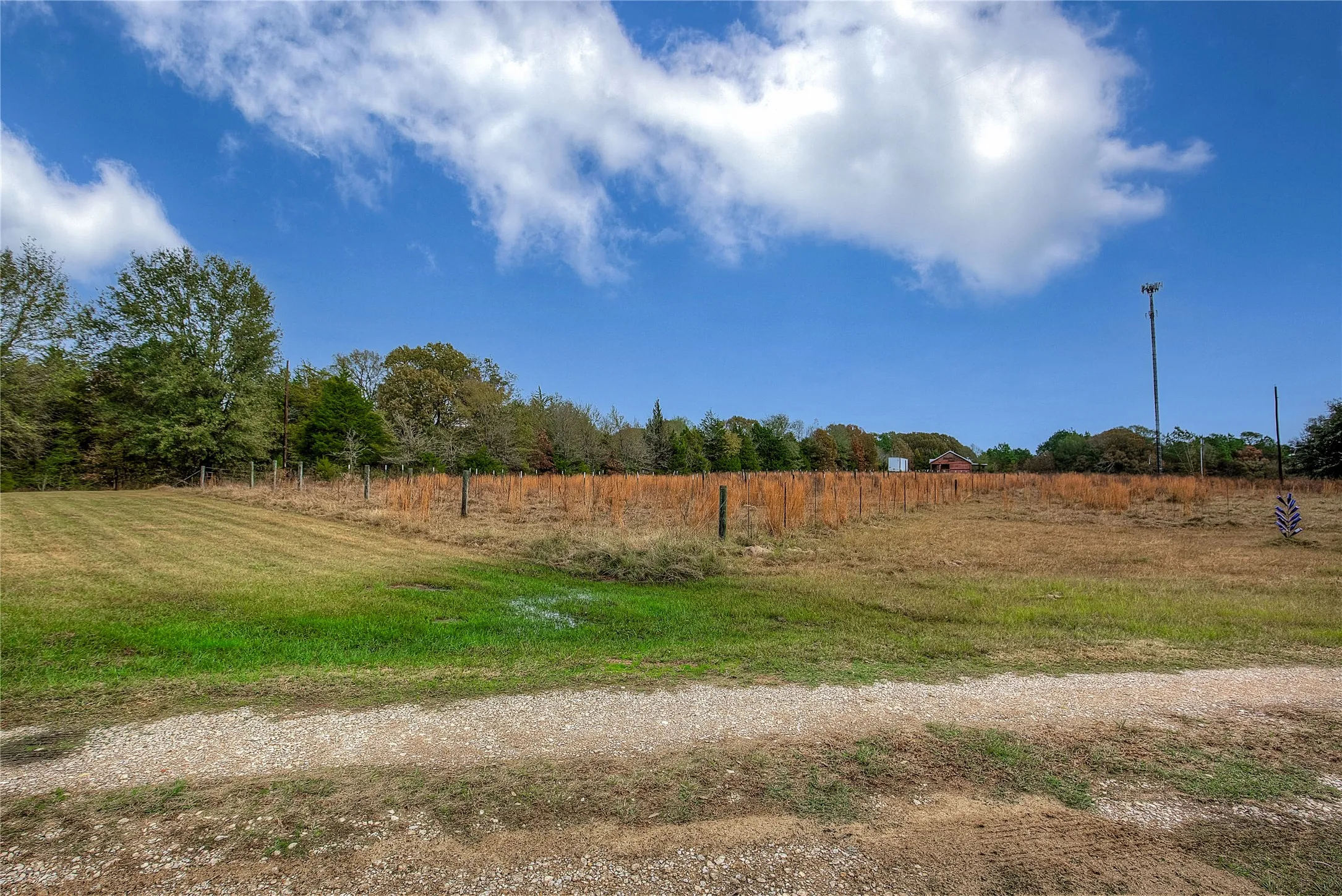 looking towards back of property, AG exemption from growing grapes