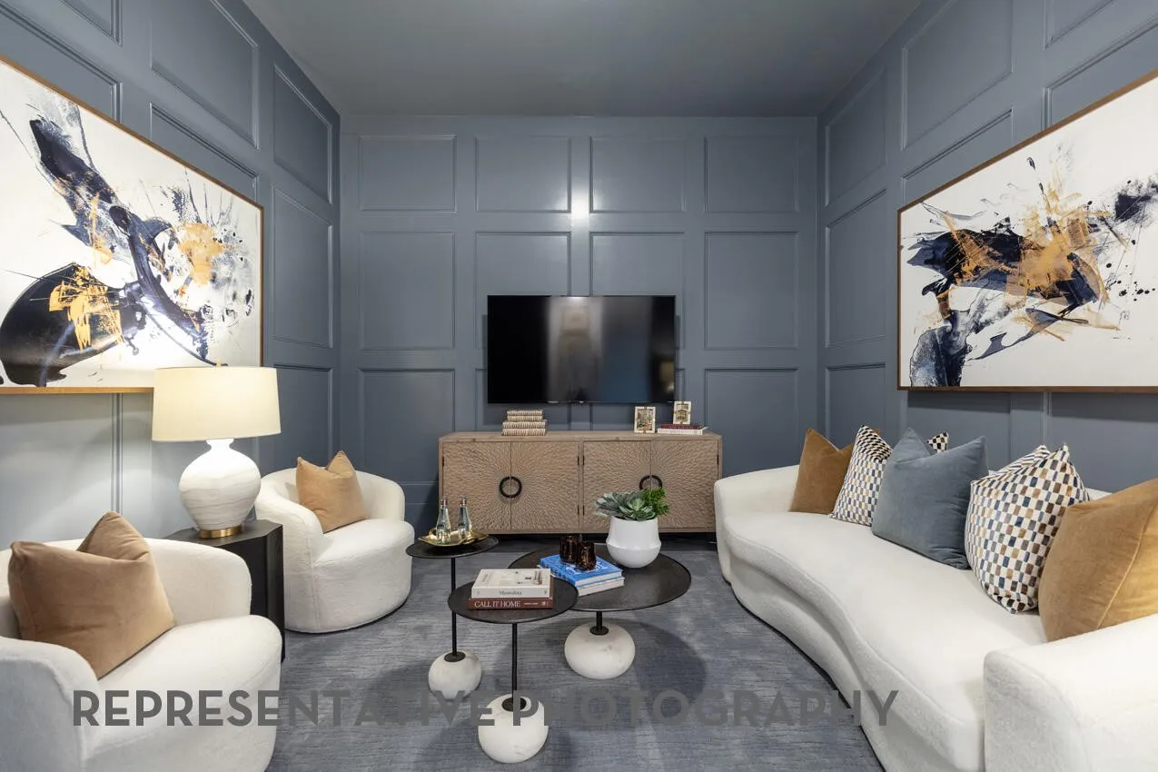Entertainment Room