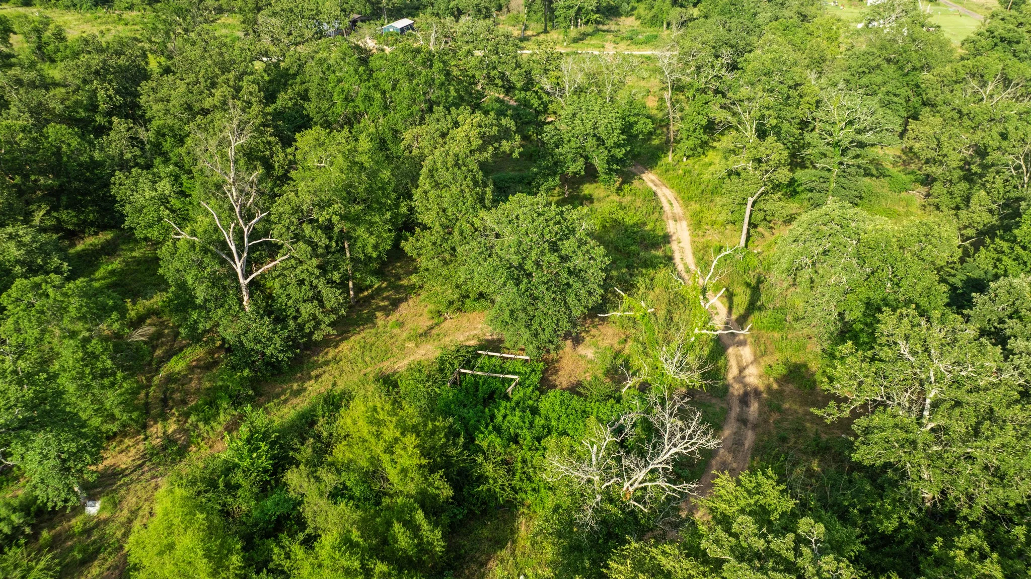 Unimproved Land For Sale in Lamar County , 5200 County Road 45080, Arthur City, Texas 75411, 0, 0, Garage spaces, 0 Sqft, built in 2015, mls#21299333, Real Estate Agent in Arthur City, Homes For Sale in Lamar county, Homes For Sale in Arthur City, Realtor in Arthur City Texas, Real Estate Brokerage Independent Realty Texas, Luminita Cordes Realtor