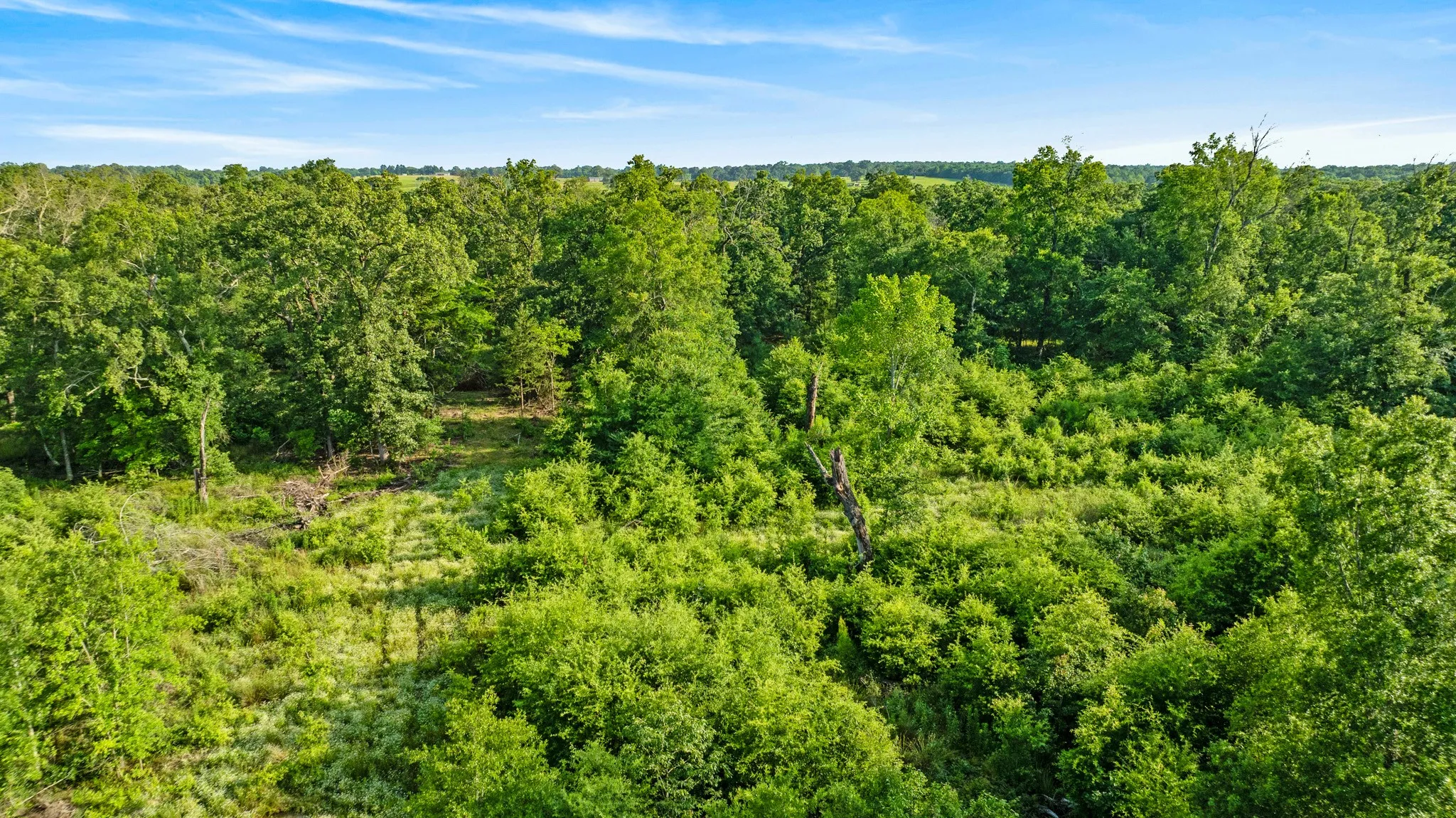Unimproved Land For Sale in Lamar County , 5200 County Road 45080, Arthur City, Texas 75411, 0, 0, Garage spaces, 0 Sqft, built in 2015, mls#21299333, Real Estate Agent in Arthur City, Homes For Sale in Lamar county, Homes For Sale in Arthur City, Realtor in Arthur City Texas, Real Estate Brokerage Independent Realty Texas, Luminita Cordes Realtor