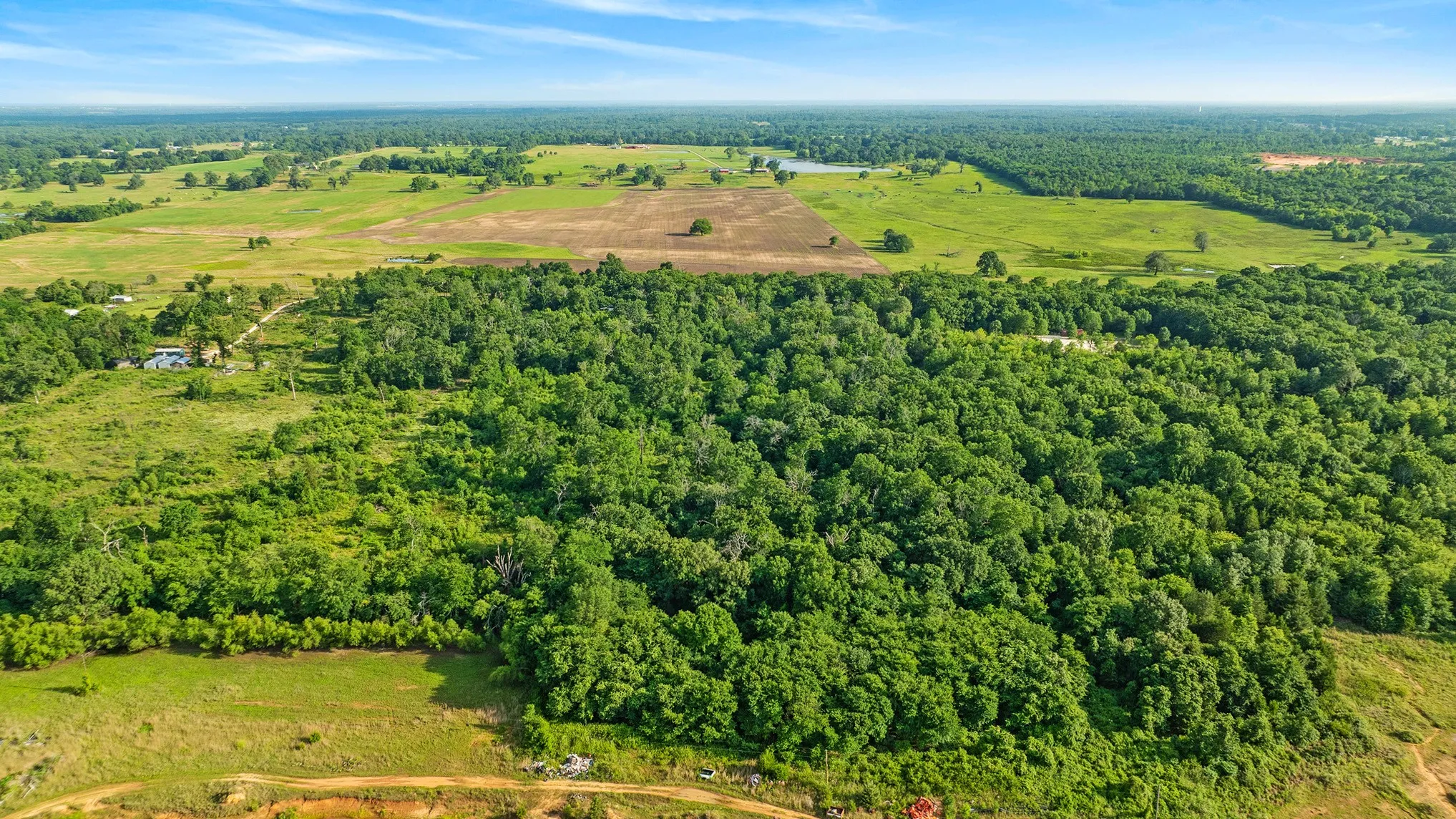 Unimproved Land For Sale in Lamar County , 5200 County Road 45080, Arthur City, Texas 75411, 0, 0, Garage spaces, 0 Sqft, built in 2015, mls#21299333, Real Estate Agent in Arthur City, Homes For Sale in Lamar county, Homes For Sale in Arthur City, Realtor in Arthur City Texas, Real Estate Brokerage Independent Realty Texas, Luminita Cordes Realtor