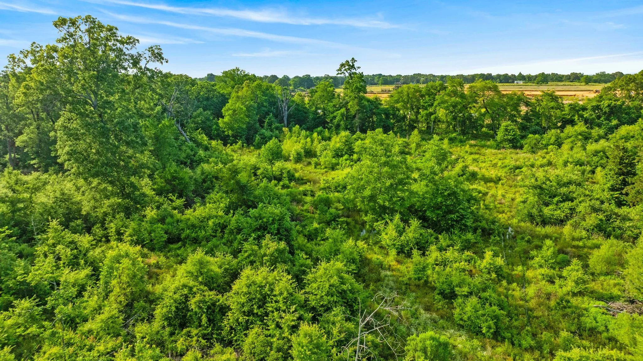 Unimproved Land For Sale in Lamar County , 5200 County Road 45080, Arthur City, Texas 75411, 0, 0, Garage spaces, 0 Sqft, built in 2015, mls#21299333, Real Estate Agent in Arthur City, Homes For Sale in Lamar county, Homes For Sale in Arthur City, Realtor in Arthur City Texas, Real Estate Brokerage Independent Realty Texas, Luminita Cordes Realtor