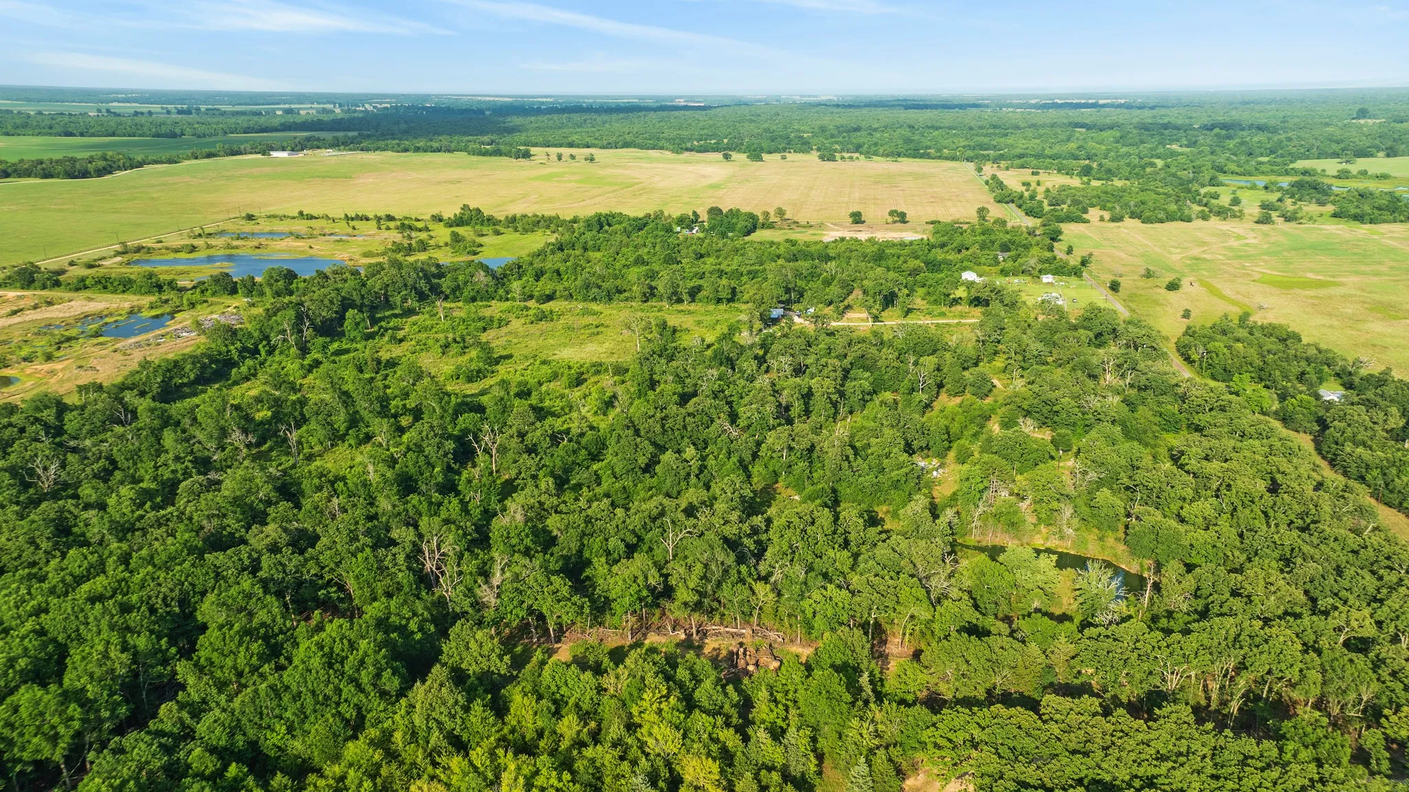 Unimproved Land For Sale in Lamar County , 5200 County Road 45080, Arthur City, Texas 75411, 0, 0, Garage spaces, 0 Sqft, built in 2015, mls#21299333, Real Estate Agent in Arthur City, Homes For Sale in Lamar county, Homes For Sale in Arthur City, Realtor in Arthur City Texas, Real Estate Brokerage Independent Realty Texas, Luminita Cordes Realtor