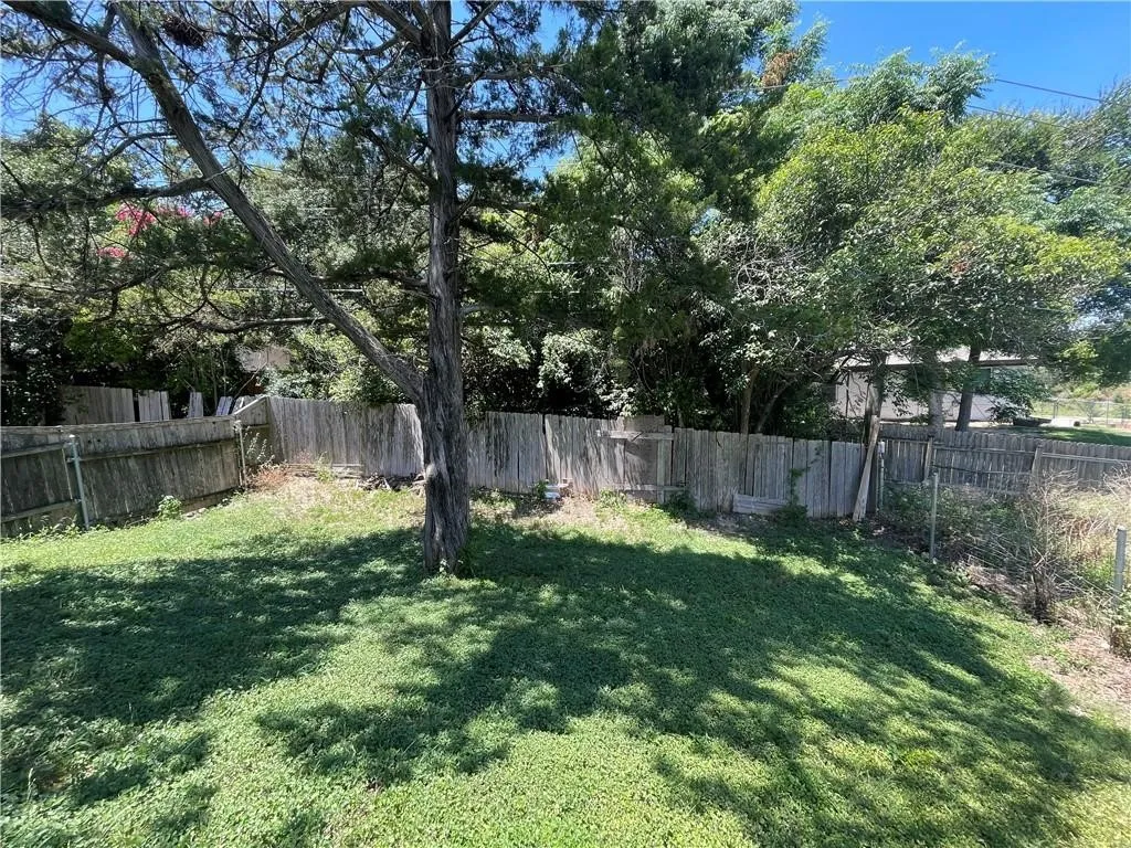 back yard