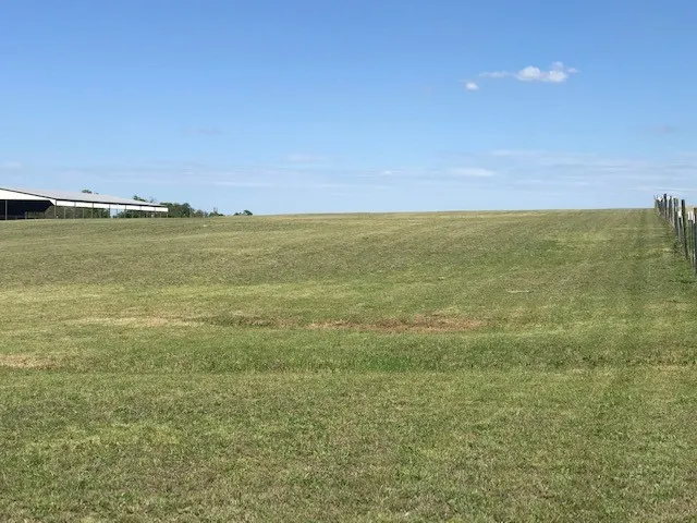 Improved Land For Sale in Collin County , 6188 County Road 168, Mc Kinney, Texas 75071, 0, 0, Garage spaces, 0 Sqft, built in 2000, mls#21299718, Real Estate Agent in Mc Kinney, Homes For Sale in Collin county, Homes For Sale in Mc Kinney, Realtor in Mc Kinney Texas, Real Estate Brokerage Independent Realty Texas, Luminita Cordes Realtor