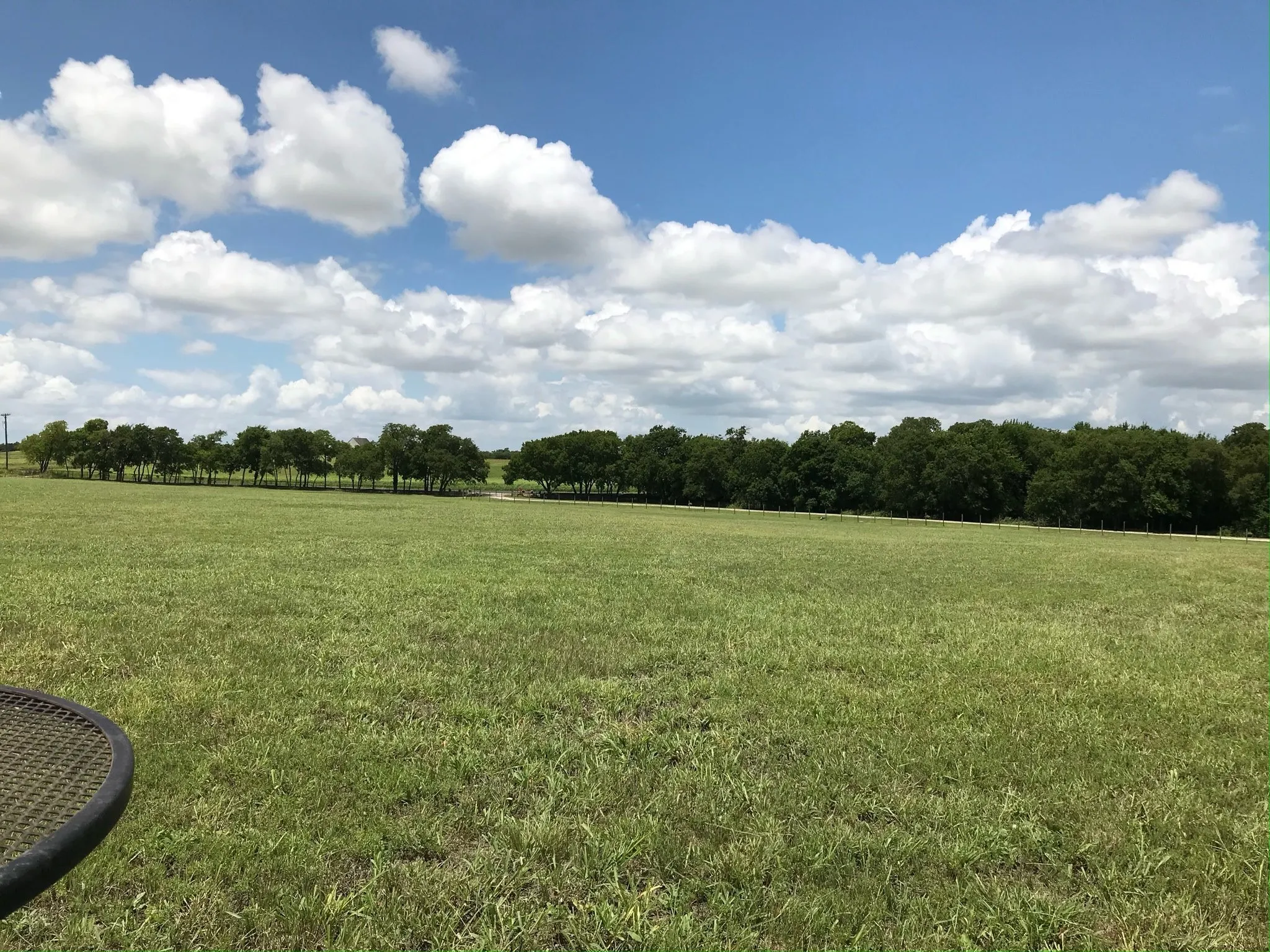 Improved Land For Sale in Collin County , 6188 County Road 168, Mc Kinney, Texas 75071, 0, 0, Garage spaces, 0 Sqft, built in 2000, mls#21299718, Real Estate Agent in Mc Kinney, Homes For Sale in Collin county, Homes For Sale in Mc Kinney, Realtor in Mc Kinney Texas, Real Estate Brokerage Independent Realty Texas, Luminita Cordes Realtor