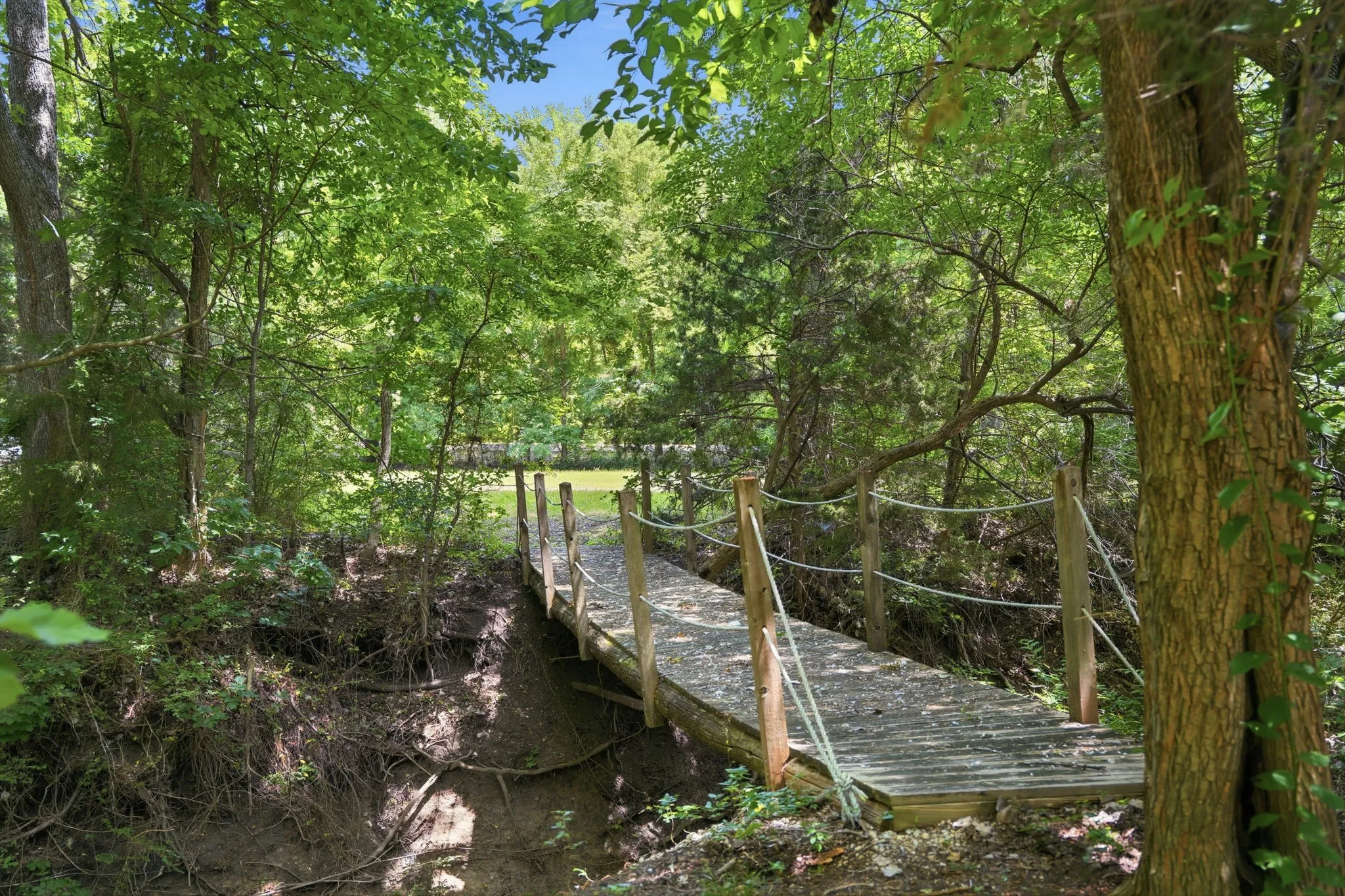 Foot bridge over year-round creek to bee hives