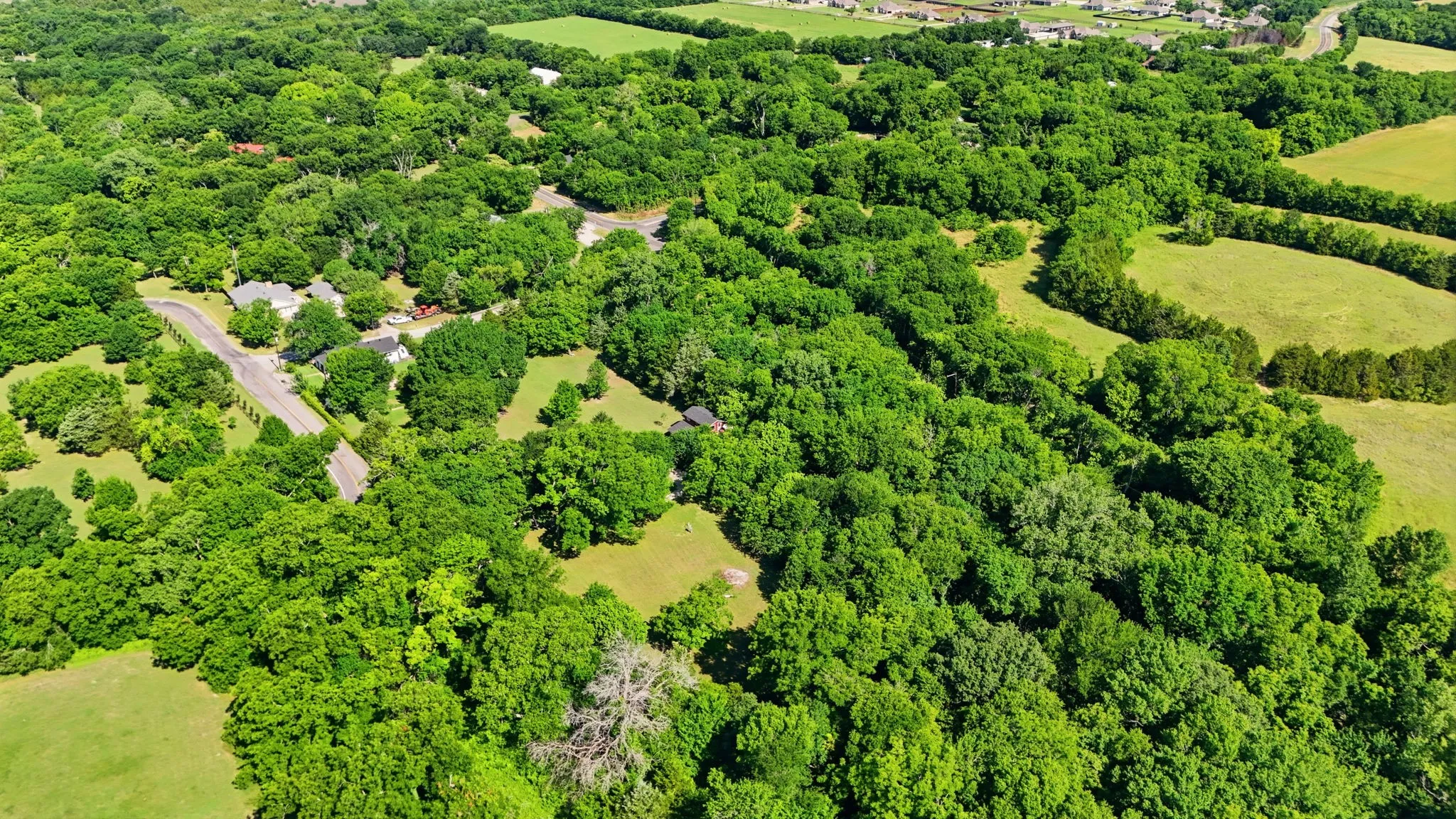 Single Family Residence For Sale in Collin County , 5314 County Road 465, Mc Kinney, Texas 75071, 3 Bedroom, 2 Bathroom, 2 Garage spaces, 1,934 Sqft, built in 1952, Price $1,495,000, mls#21292805, Real Estate Agent in Mc Kinney, Homes For Sale in Collin county, Homes For Sale in Mc Kinney, Realtor in Mc Kinney Texas, Real Estate Brokerage Independent Realty Texas, Luminita Cordes Realtor