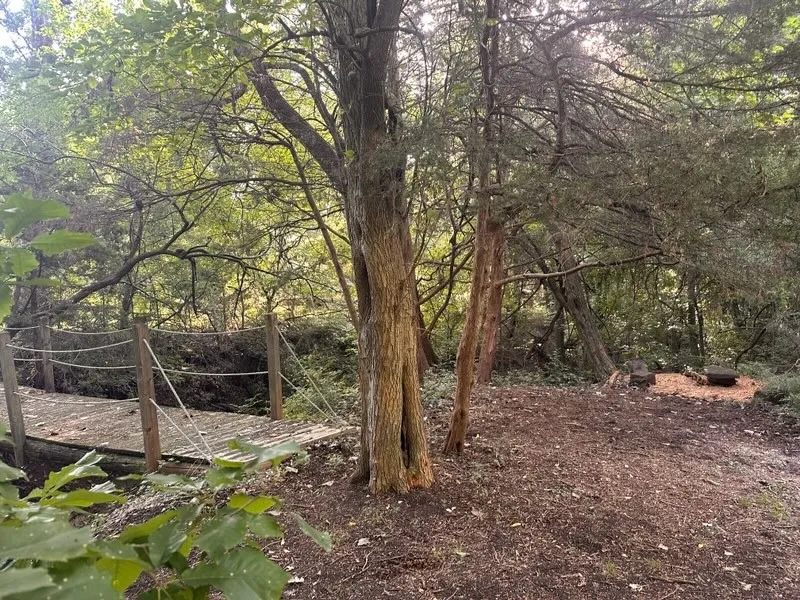 Additional view of foot-bridge