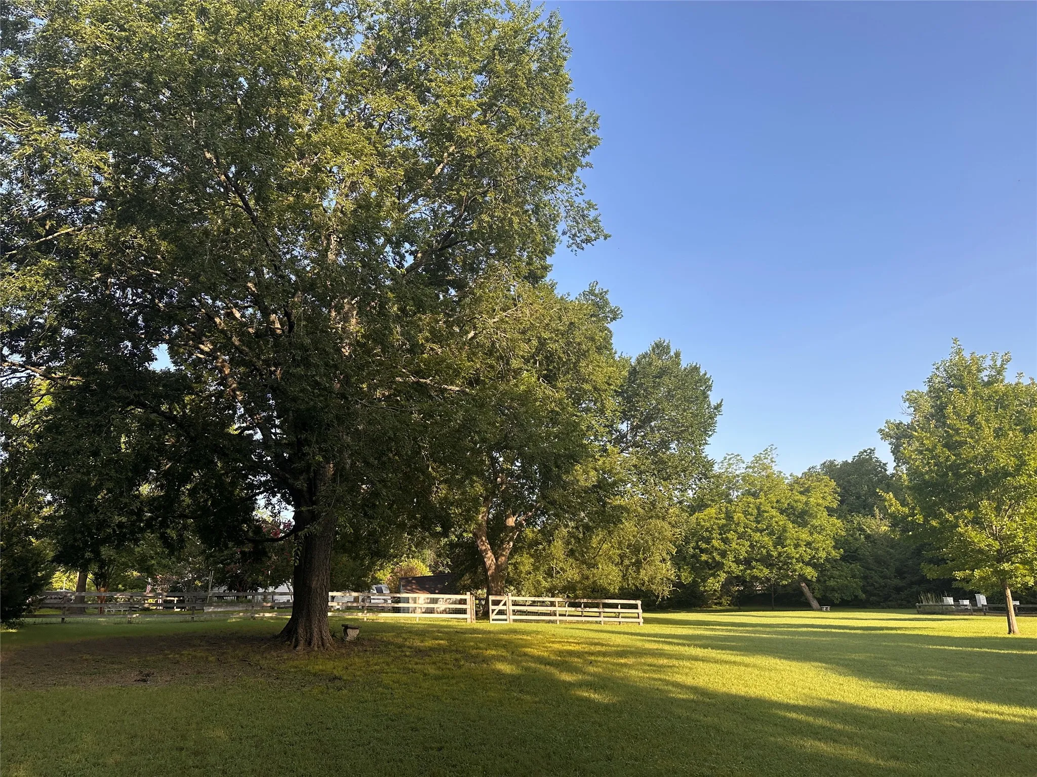 Single Family Residence For Sale in Collin County , 5314 County Road 465, Mc Kinney, Texas 75071, 3 Bedroom, 2 Bathroom, 2 Garage spaces, 1,934 Sqft, built in 1952, Price $1,495,000, mls#21292805, Real Estate Agent in Mc Kinney, Homes For Sale in Collin county, Homes For Sale in Mc Kinney, Realtor in Mc Kinney Texas, Real Estate Brokerage Independent Realty Texas, Luminita Cordes Realtor