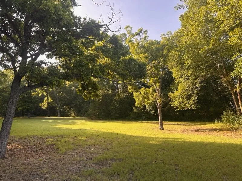 Single Family Residence For Sale in Collin County , 5314 County Road 465, Mc Kinney, Texas 75071, 3 Bedroom, 2 Bathroom, 2 Garage spaces, 1,934 Sqft, built in 1952, Price $1,495,000, mls#21292805, Real Estate Agent in Mc Kinney, Homes For Sale in Collin county, Homes For Sale in Mc Kinney, Realtor in Mc Kinney Texas, Real Estate Brokerage Independent Realty Texas, Luminita Cordes Realtor