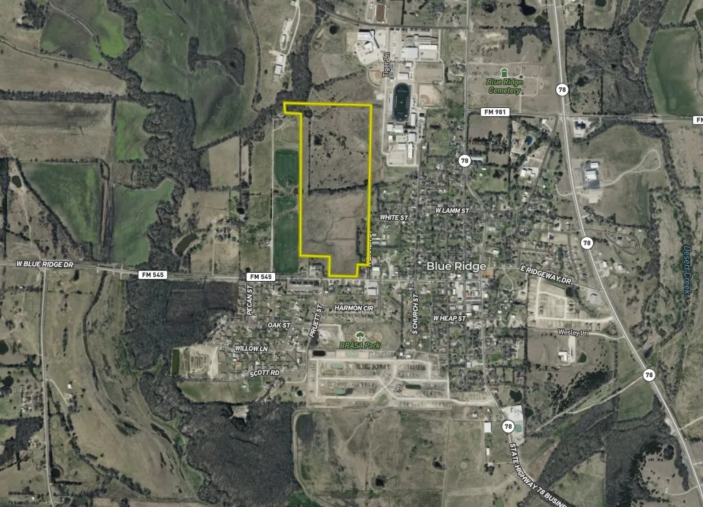 Unimproved Land For Sale in Collin County , 59 Acres W FM 545, Blue Ridge, Texas 75424, 0, 0, Garage spaces, 0 Sqft, built in 0, mls#21299524, Real Estate Agent in Blue Ridge, Homes For Sale in Collin county, Homes For Sale in Blue Ridge, Realtor in Blue Ridge Texas, Real Estate Brokerage Independent Realty Texas, Luminita Cordes Realtor