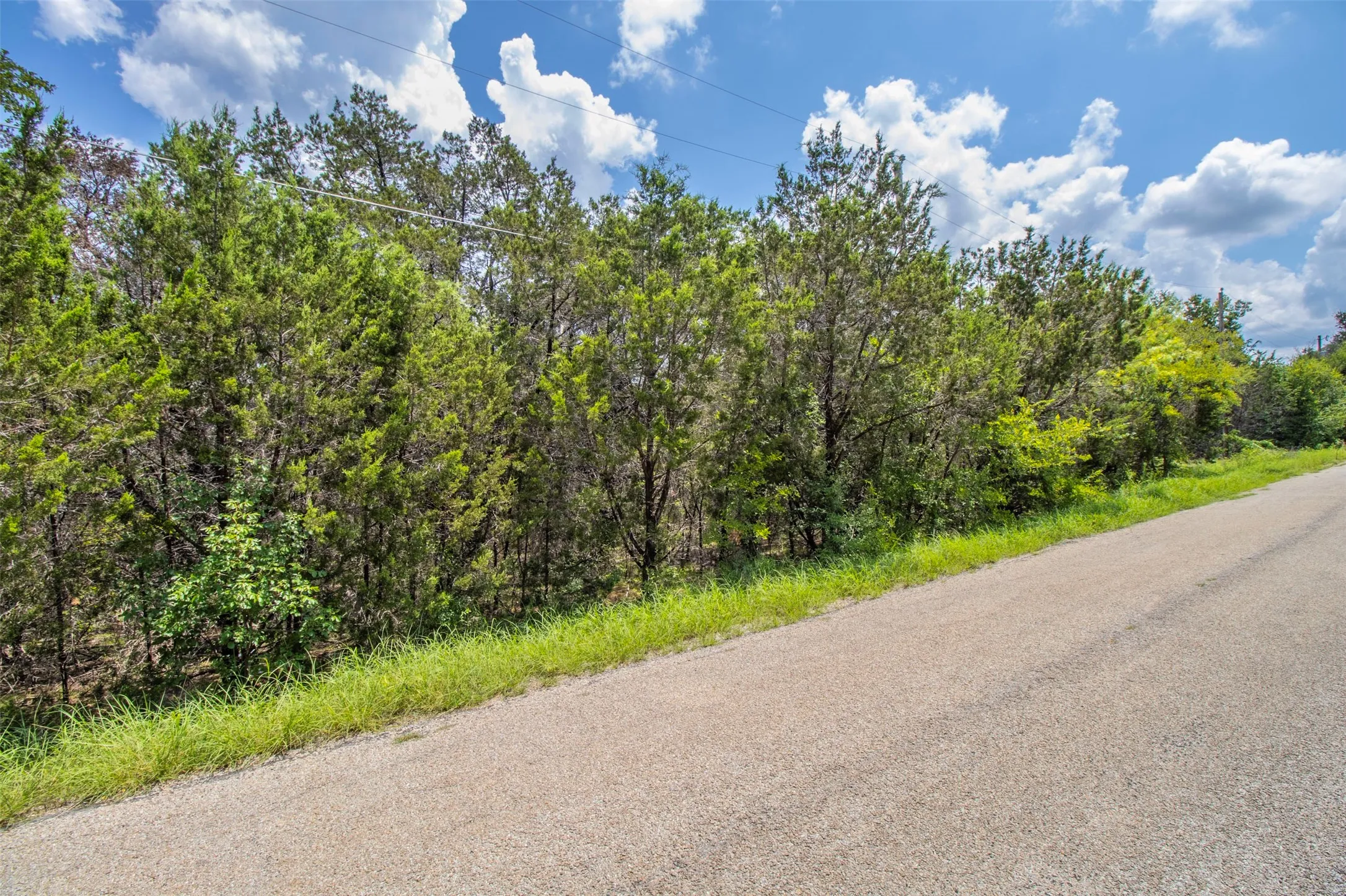 Roadside parcel featuring mature trees, natural landscaping, and a clear sky backdrop