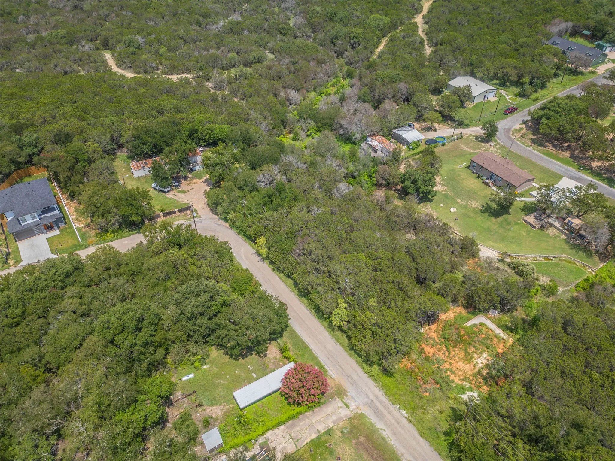 Expansive wooded lot offering substantial tree coverage