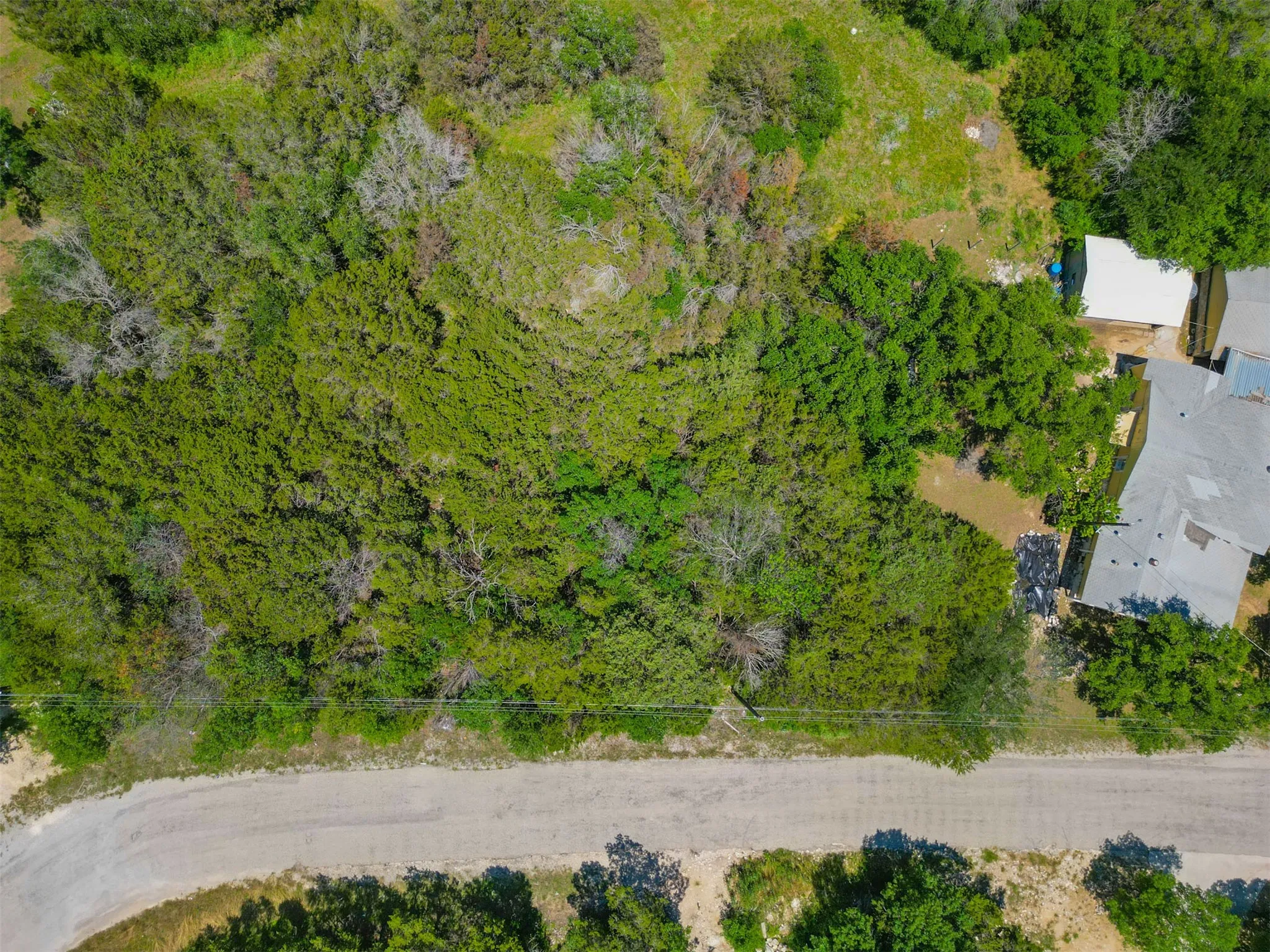 Expansive wooded lot featuring mature trees and a natural landscape