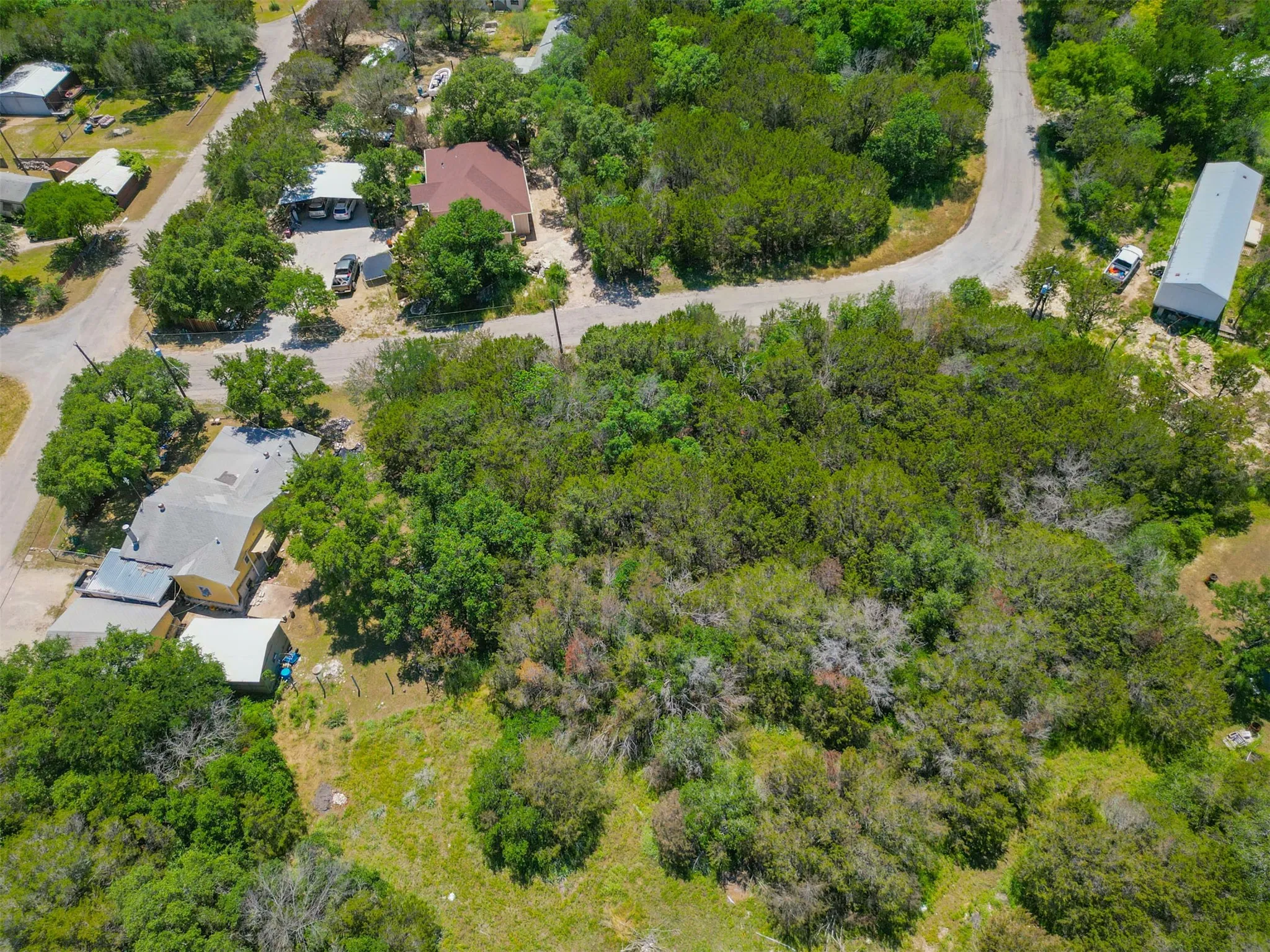 Expansive undeveloped lot featuring dense mature trees and varied vegetation