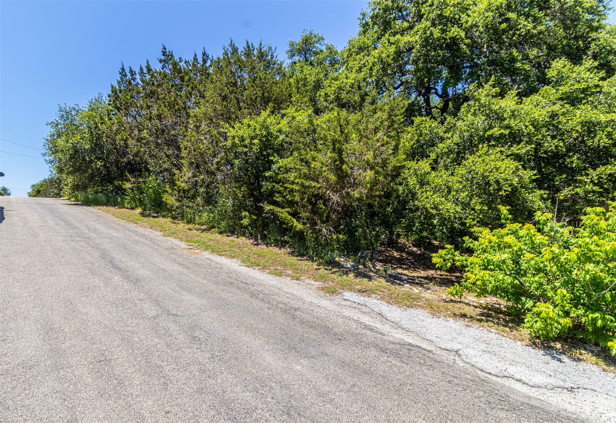 Paved road bordering a tree-lined property featuring varied foliage