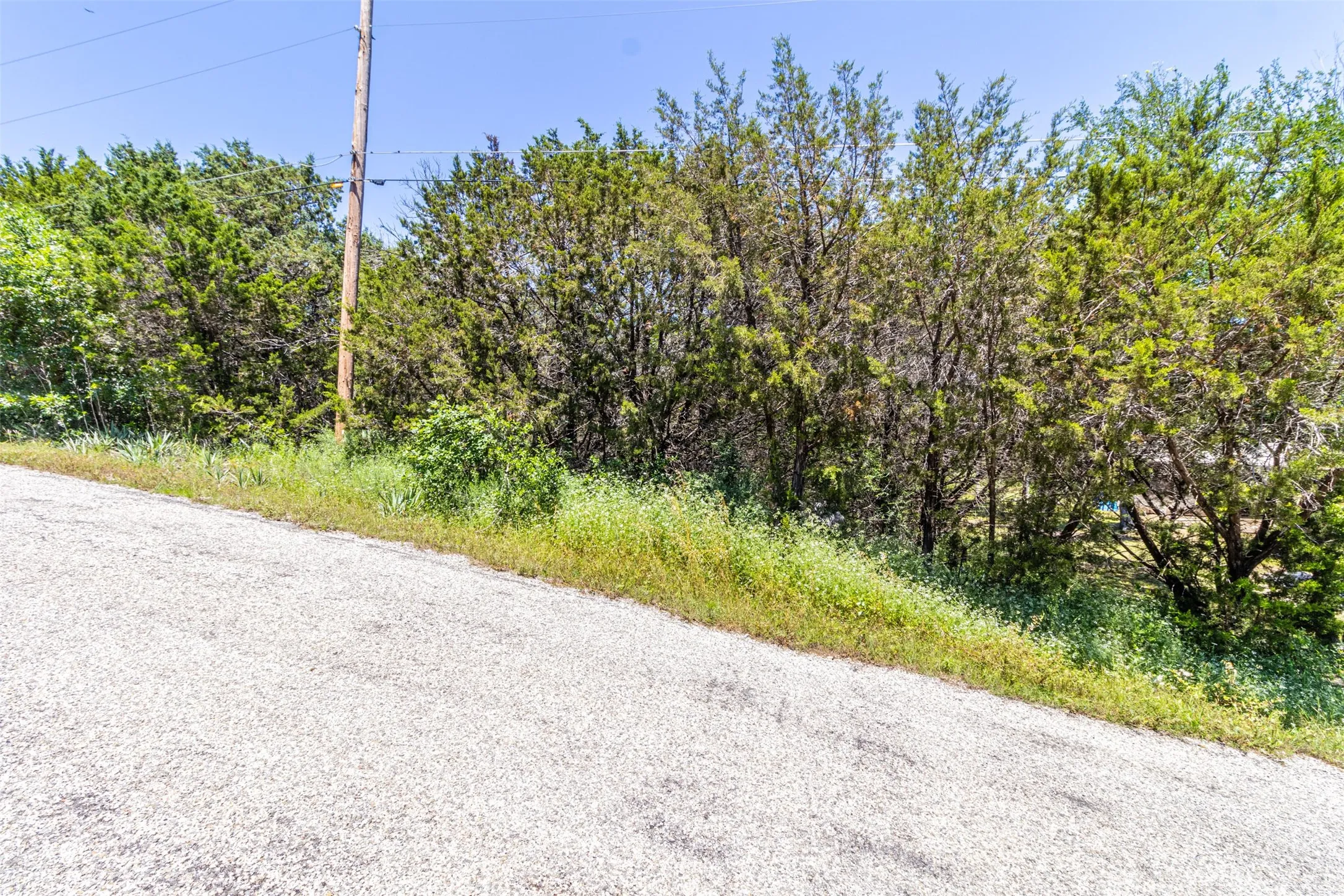 Roadside property featuring natural tree cover and a utility pole