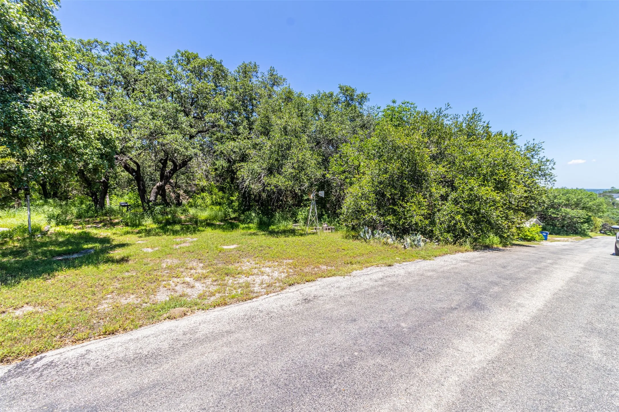 Paved road frontage with mature trees and natural landscaping