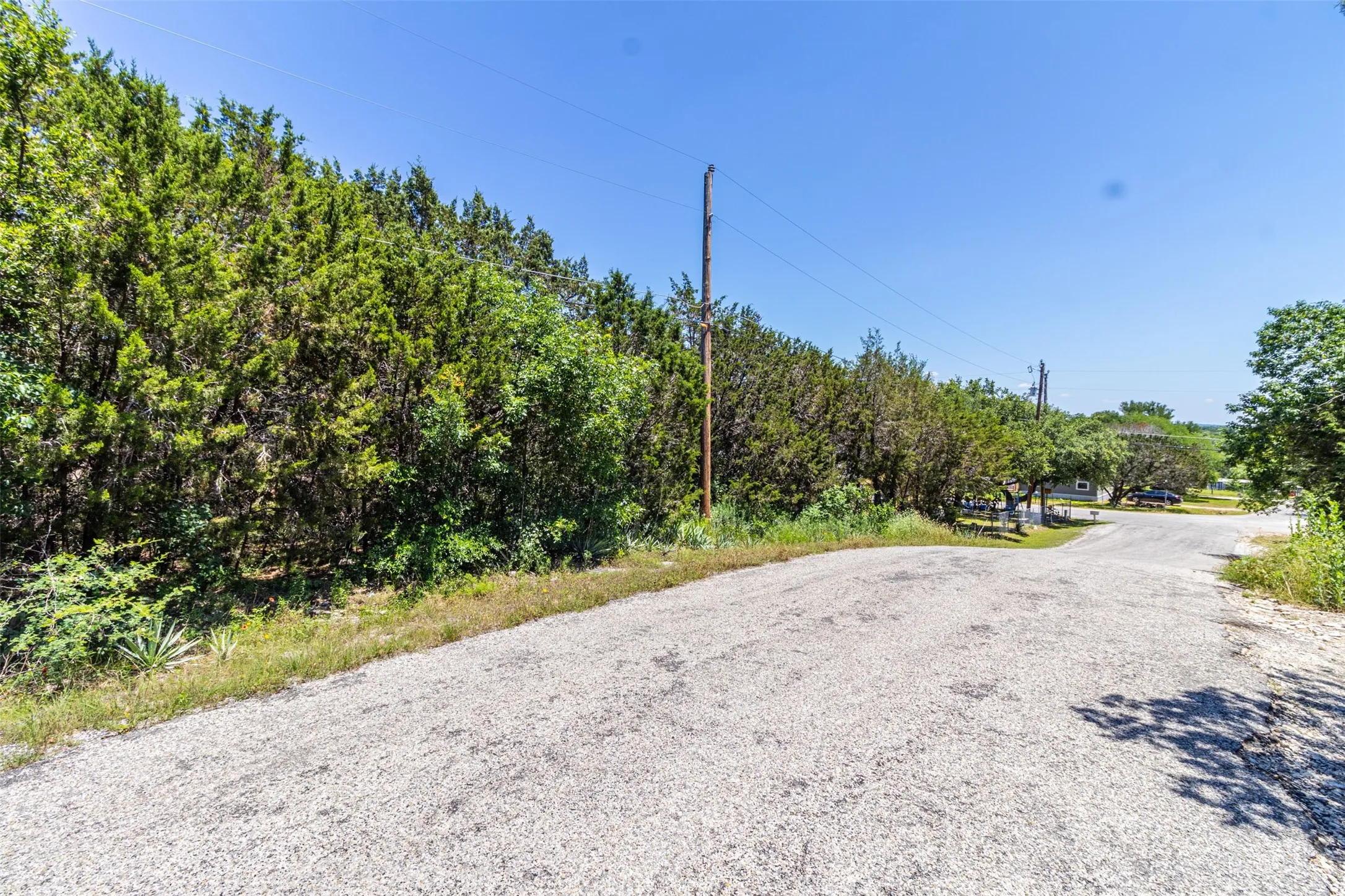 Gravel roadway bordered by dense green foliage and mature trees under a clear sky