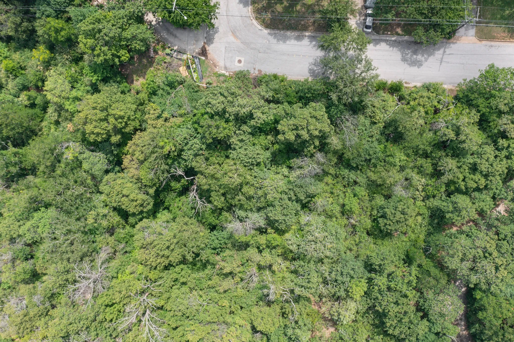 Unimproved Land For Sale in Tarrant County , 1524 Tierney Road, Fort Worth, Texas 76112, 0, 0, Garage spaces, 0 Sqft, built in 0, mls#21293527, Real Estate Agent in Fort Worth, Homes For Sale in Tarrant county, Homes For Sale in Fort Worth, Realtor in Fort Worth Texas, Real Estate Brokerage Independent Realty Texas, Luminita Cordes Realtor