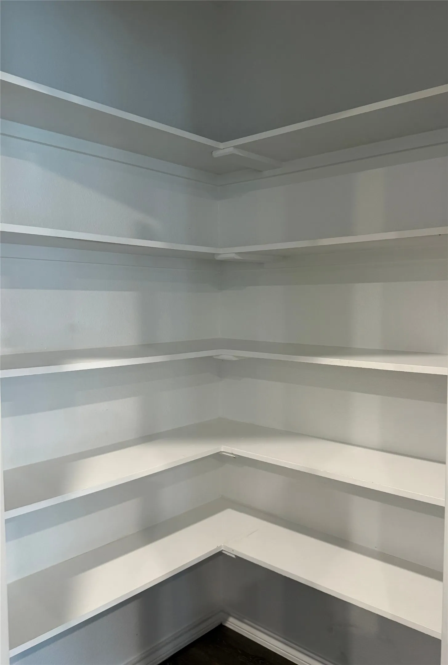 Kitchen Corner pantry featuring multiple white built-in shelves, white walls, and dark wood-finish flooring