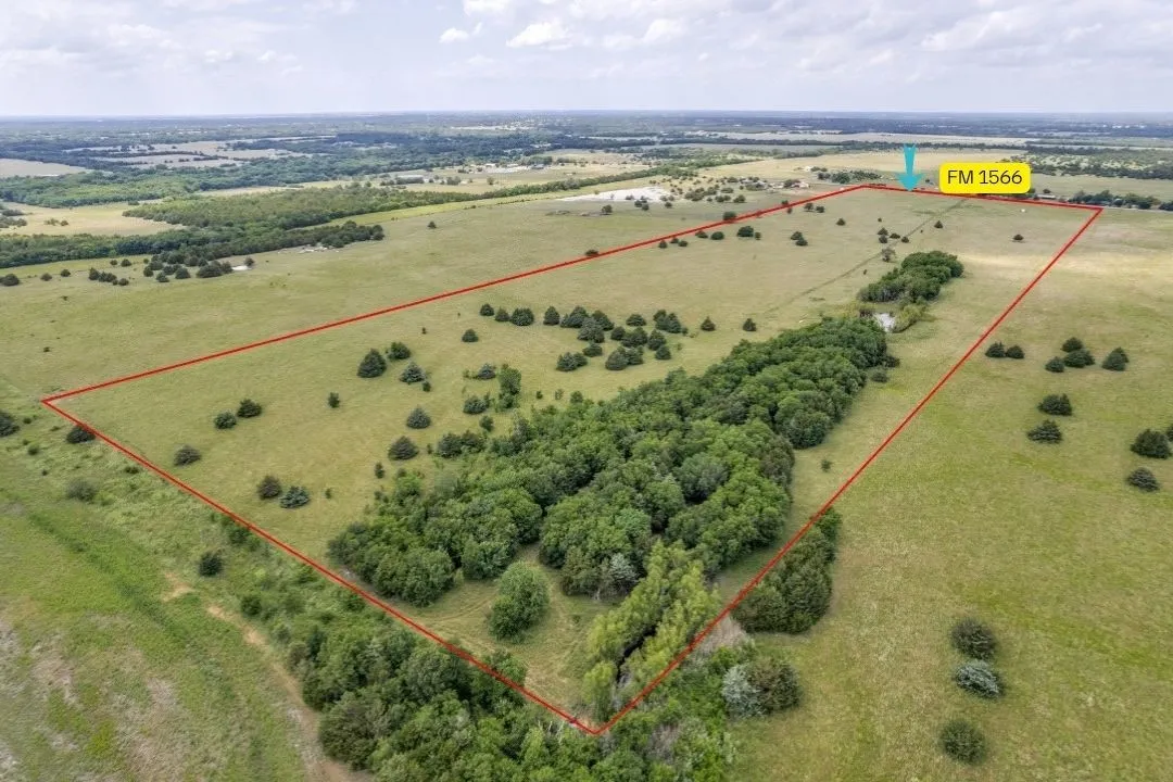 Expansive land parcel featuring a mix of open fields and mature tree lines