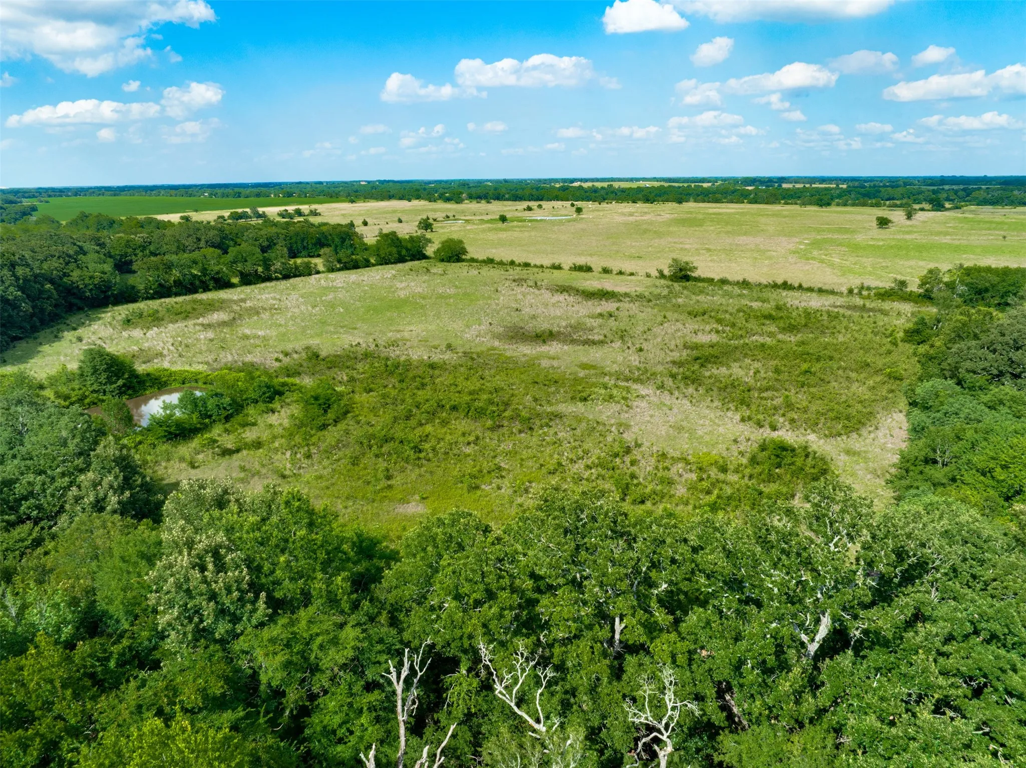 Improved Land For Sale in Lamar County , 9253 US Highway 271 S, Deport, Texas 75435, 0, 0, Garage spaces, 0 Sqft, built in 1998, mls#21299854, Real Estate Agent in Deport, Homes For Sale in Lamar county, Homes For Sale in Deport, Realtor in Deport Texas, Real Estate Brokerage Independent Realty Texas, Luminita Cordes Realtor