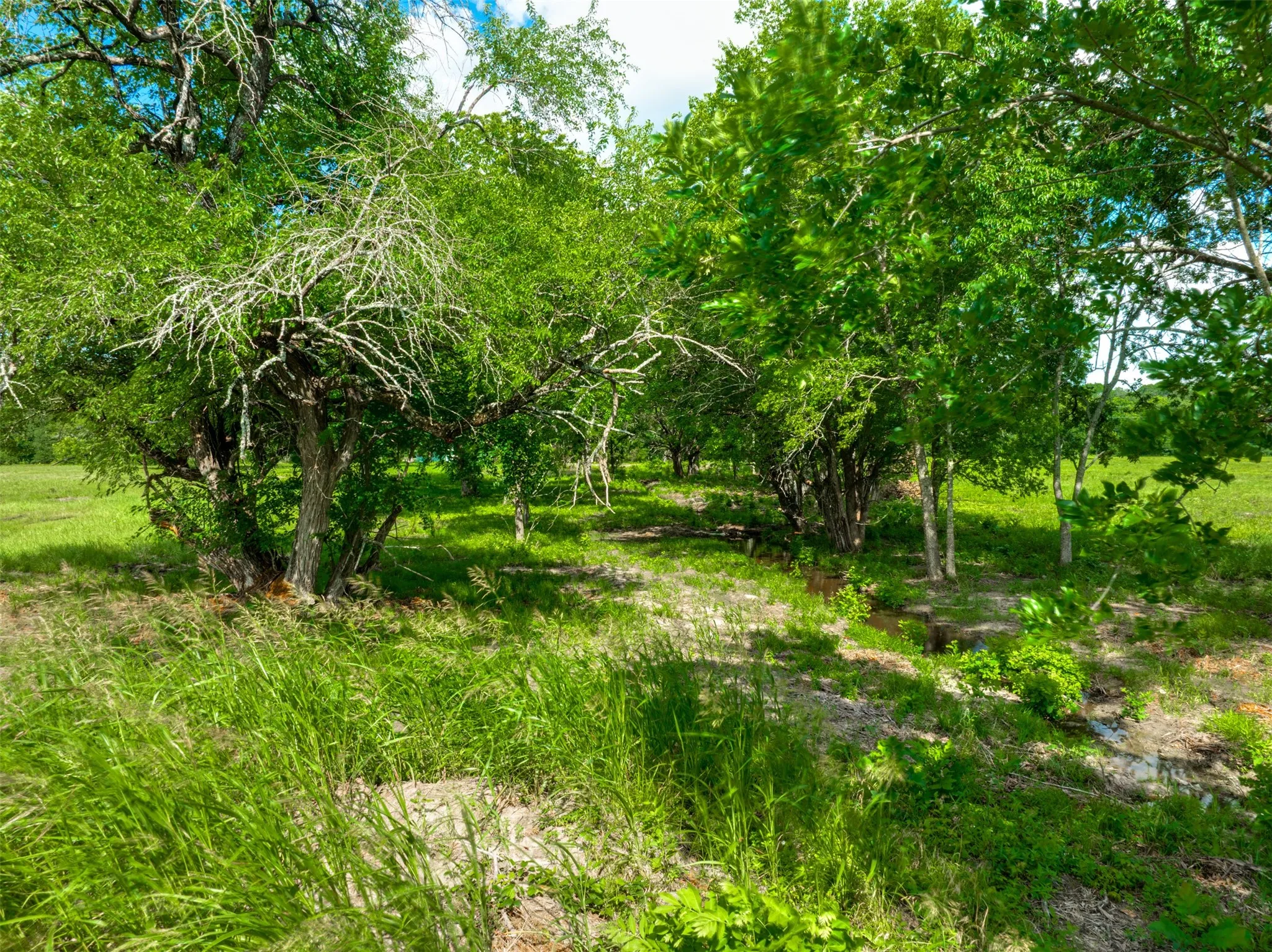 Improved Land For Sale in Lamar County , 9253 US Highway 271 S, Deport, Texas 75435, 0, 0, Garage spaces, 0 Sqft, built in 1998, mls#21299854, Real Estate Agent in Deport, Homes For Sale in Lamar county, Homes For Sale in Deport, Realtor in Deport Texas, Real Estate Brokerage Independent Realty Texas, Luminita Cordes Realtor