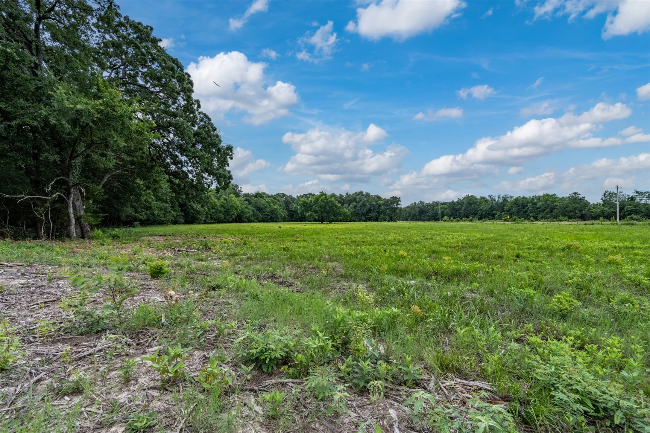 Improved Land For Sale in Lamar County , 9253 US Highway 271 S, Deport, Texas 75435, 0, 0, Garage spaces, 0 Sqft, built in 1998, mls#21299854, Real Estate Agent in Deport, Homes For Sale in Lamar county, Homes For Sale in Deport, Realtor in Deport Texas, Real Estate Brokerage Independent Realty Texas, Luminita Cordes Realtor