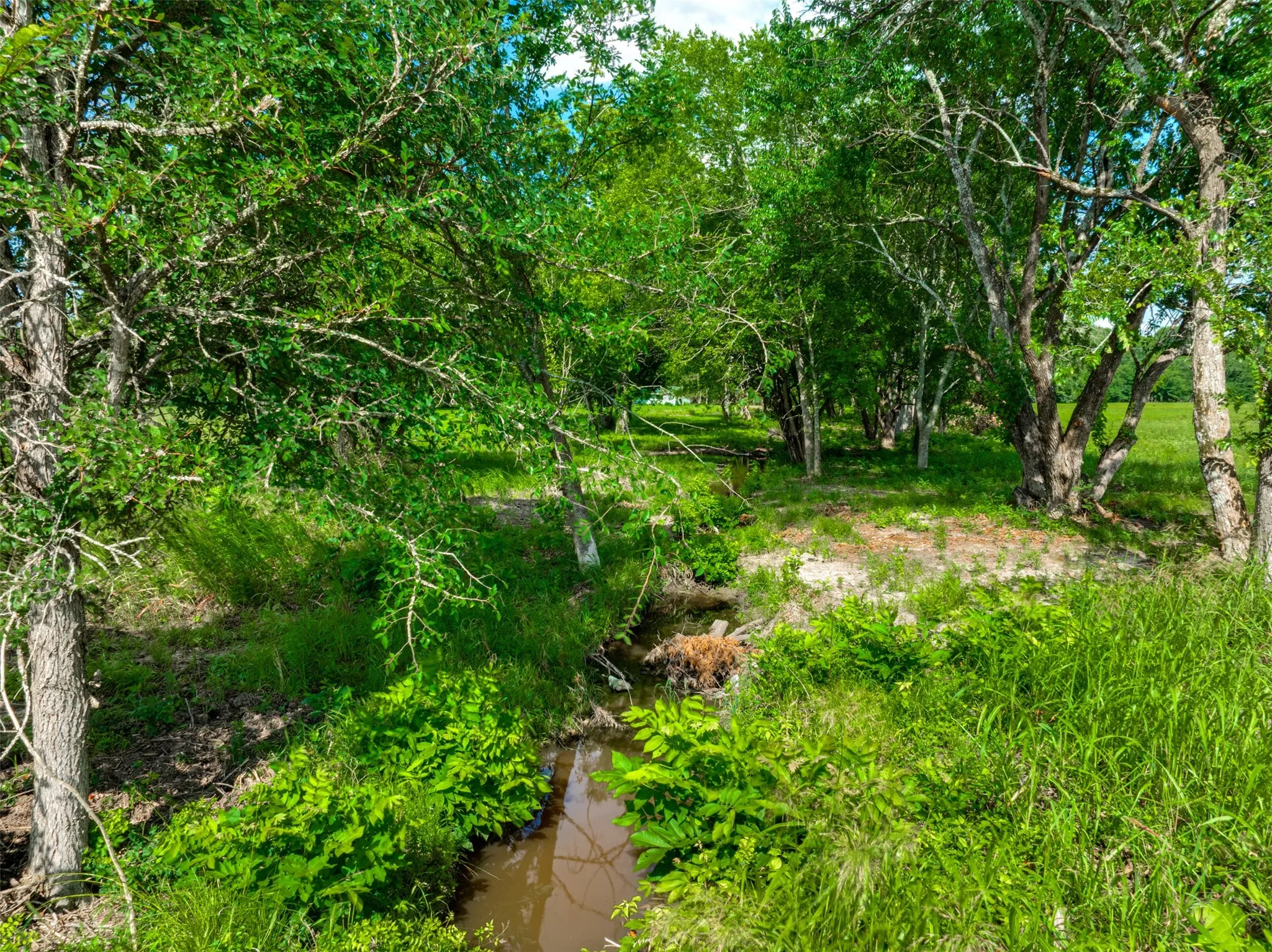 Improved Land For Sale in Lamar County , 9253 US Highway 271 S, Deport, Texas 75435, 0, 0, Garage spaces, 0 Sqft, built in 1998, mls#21299854, Real Estate Agent in Deport, Homes For Sale in Lamar county, Homes For Sale in Deport, Realtor in Deport Texas, Real Estate Brokerage Independent Realty Texas, Luminita Cordes Realtor