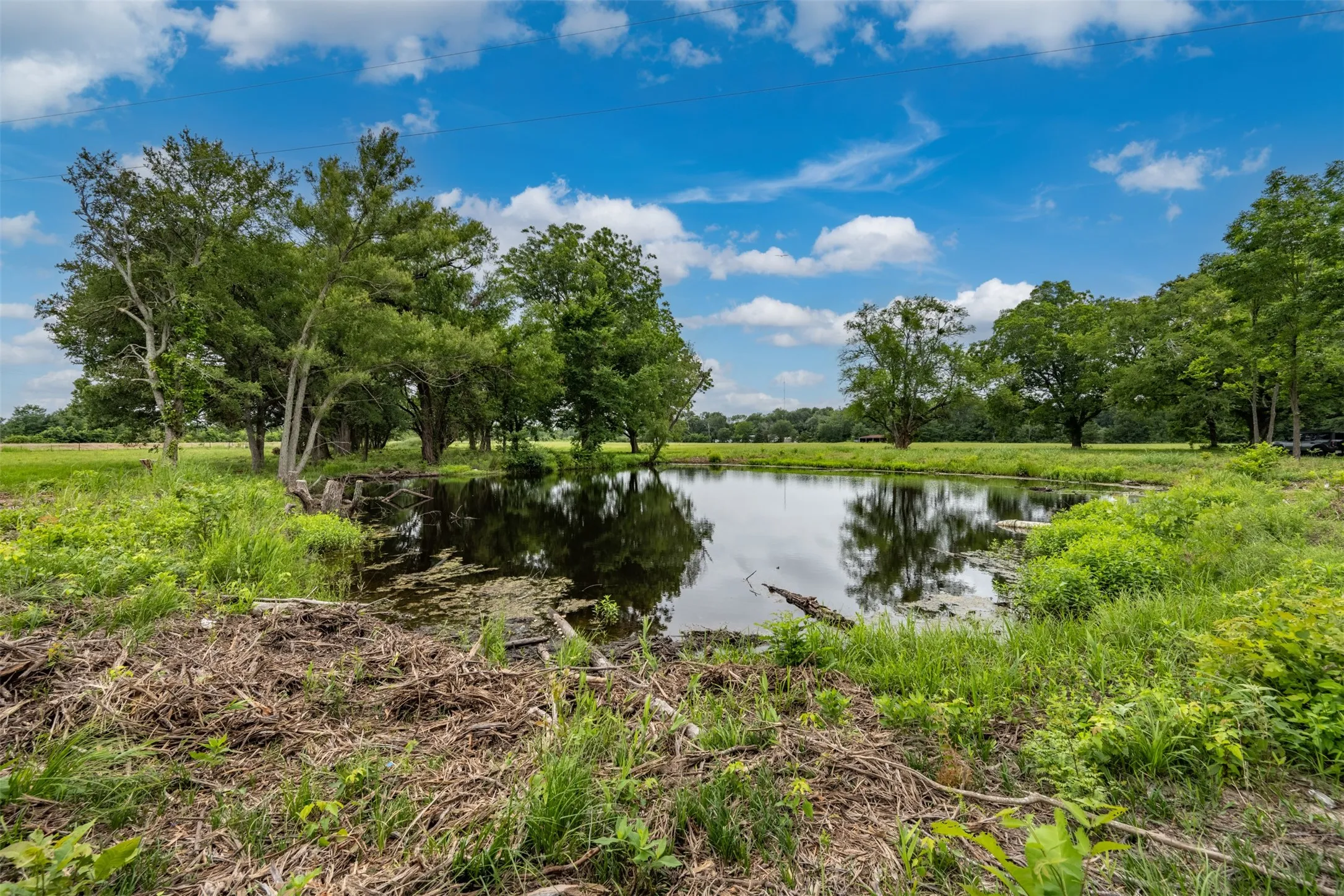Improved Land For Sale in Lamar County , 9253 US Highway 271 S, Deport, Texas 75435, 0, 0, Garage spaces, 0 Sqft, built in 1998, mls#21299854, Real Estate Agent in Deport, Homes For Sale in Lamar county, Homes For Sale in Deport, Realtor in Deport Texas, Real Estate Brokerage Independent Realty Texas, Luminita Cordes Realtor