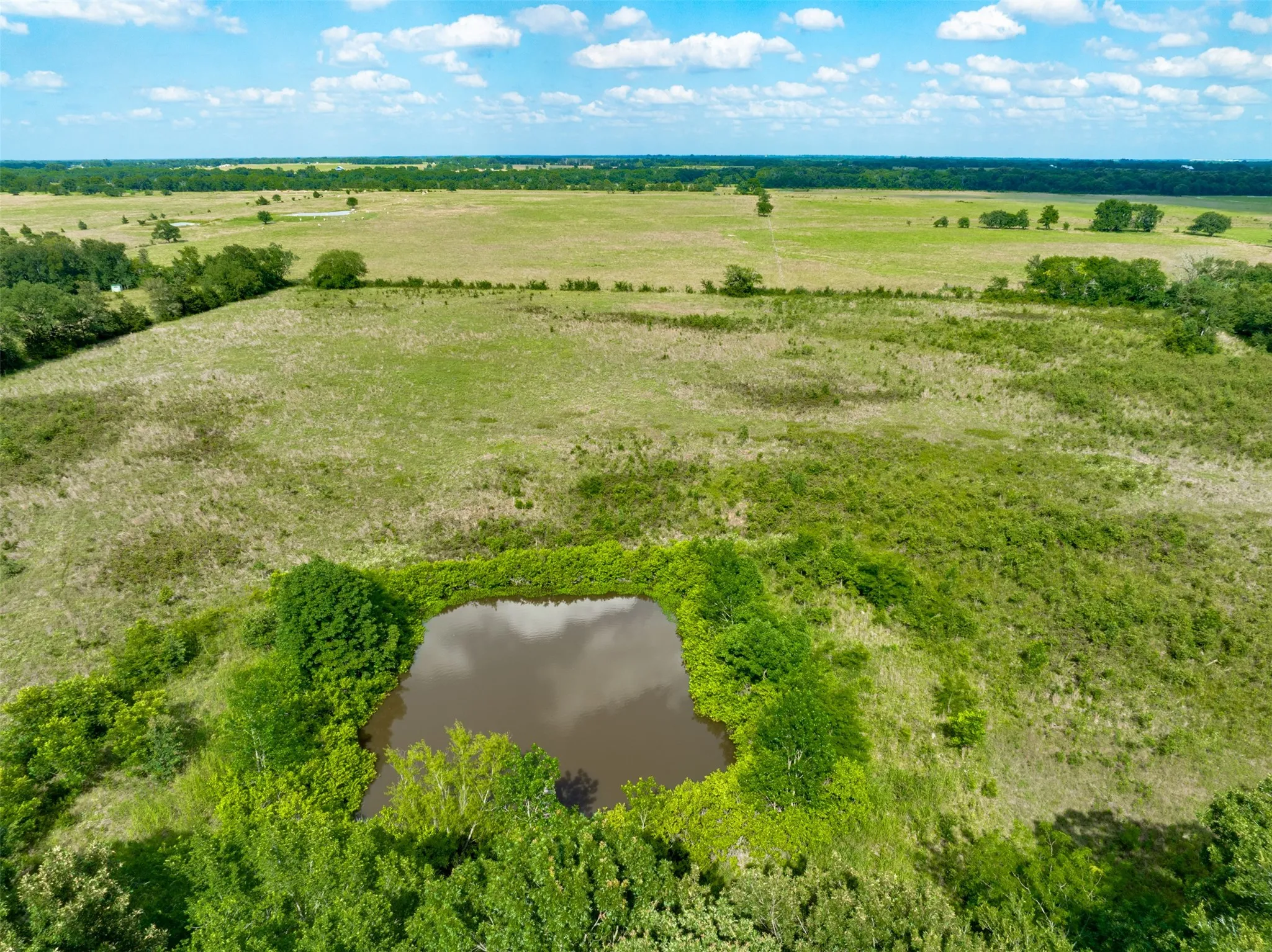 Improved Land For Sale in Lamar County , 9253 US Highway 271 S, Deport, Texas 75435, 0, 0, Garage spaces, 0 Sqft, built in 1998, mls#21299854, Real Estate Agent in Deport, Homes For Sale in Lamar county, Homes For Sale in Deport, Realtor in Deport Texas, Real Estate Brokerage Independent Realty Texas, Luminita Cordes Realtor