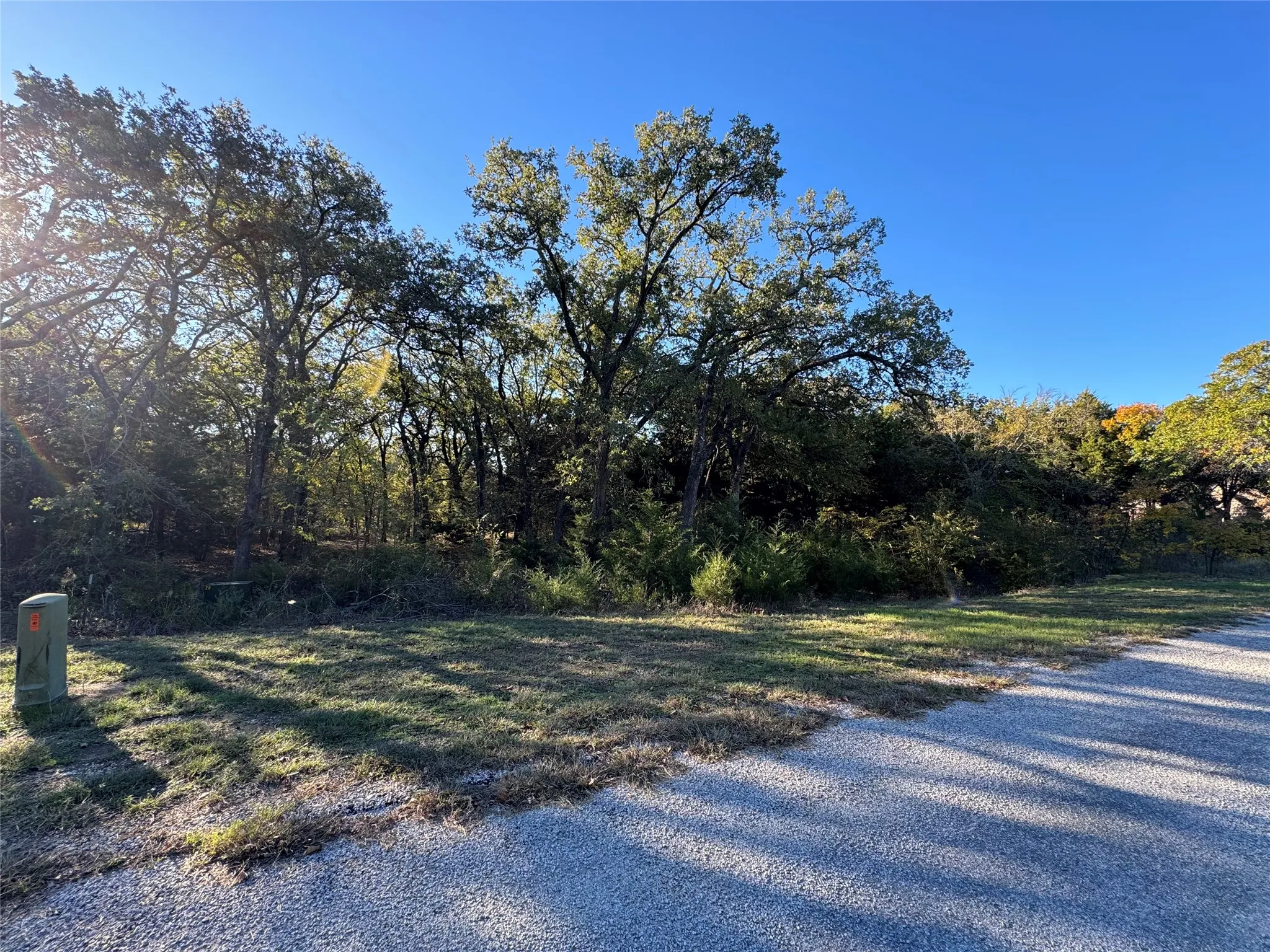 Unimproved Land For Sale in Cooke County , 20 Timber Trail, Tioga, Texas 76271, 0, 0, Garage spaces, 0 Sqft, built in 0, Price $205,000, mls#21298607, Real Estate Agent in Tioga, Homes For Sale in Cooke county, Homes For Sale in Tioga, Realtor in Tioga Texas, Real Estate Brokerage Independent Realty Texas, Luminita Cordes Realtor