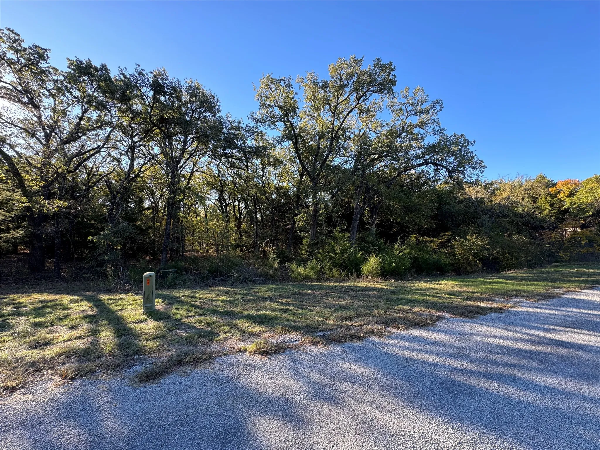 Unimproved Land For Sale in Cooke County , 20 Timber Trail, Tioga, Texas 76271, 0, 0, Garage spaces, 0 Sqft, built in 0, Price $205,000, mls#21298607, Real Estate Agent in Tioga, Homes For Sale in Cooke county, Homes For Sale in Tioga, Realtor in Tioga Texas, Real Estate Brokerage Independent Realty Texas, Luminita Cordes Realtor
