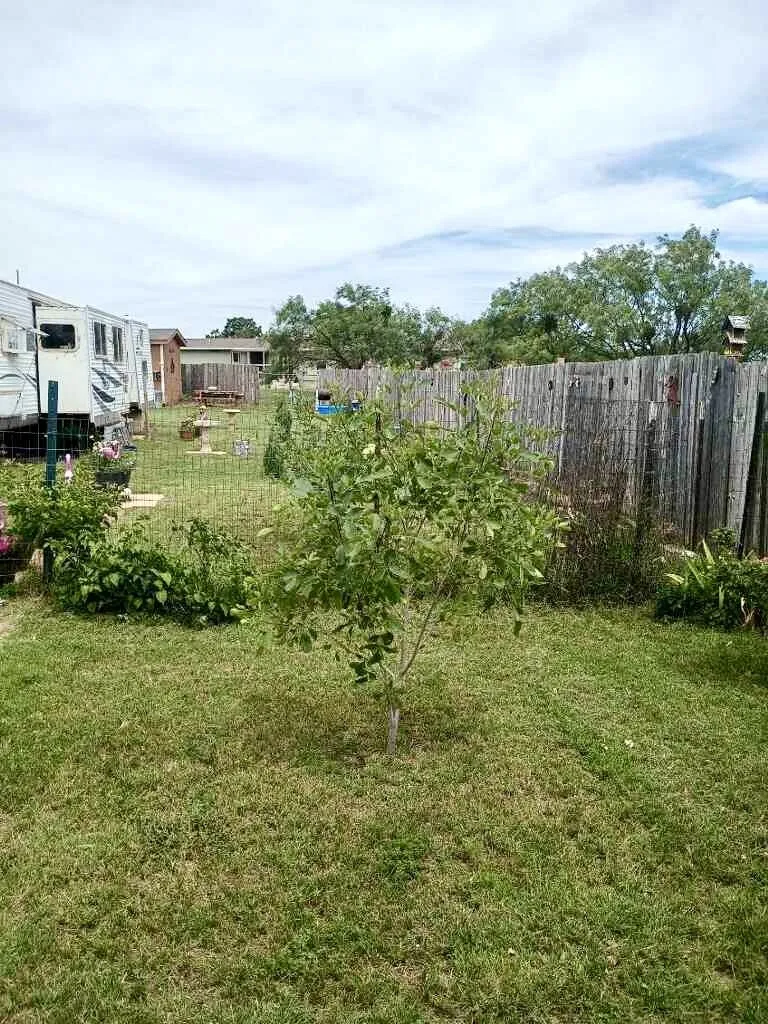 southside of RV
