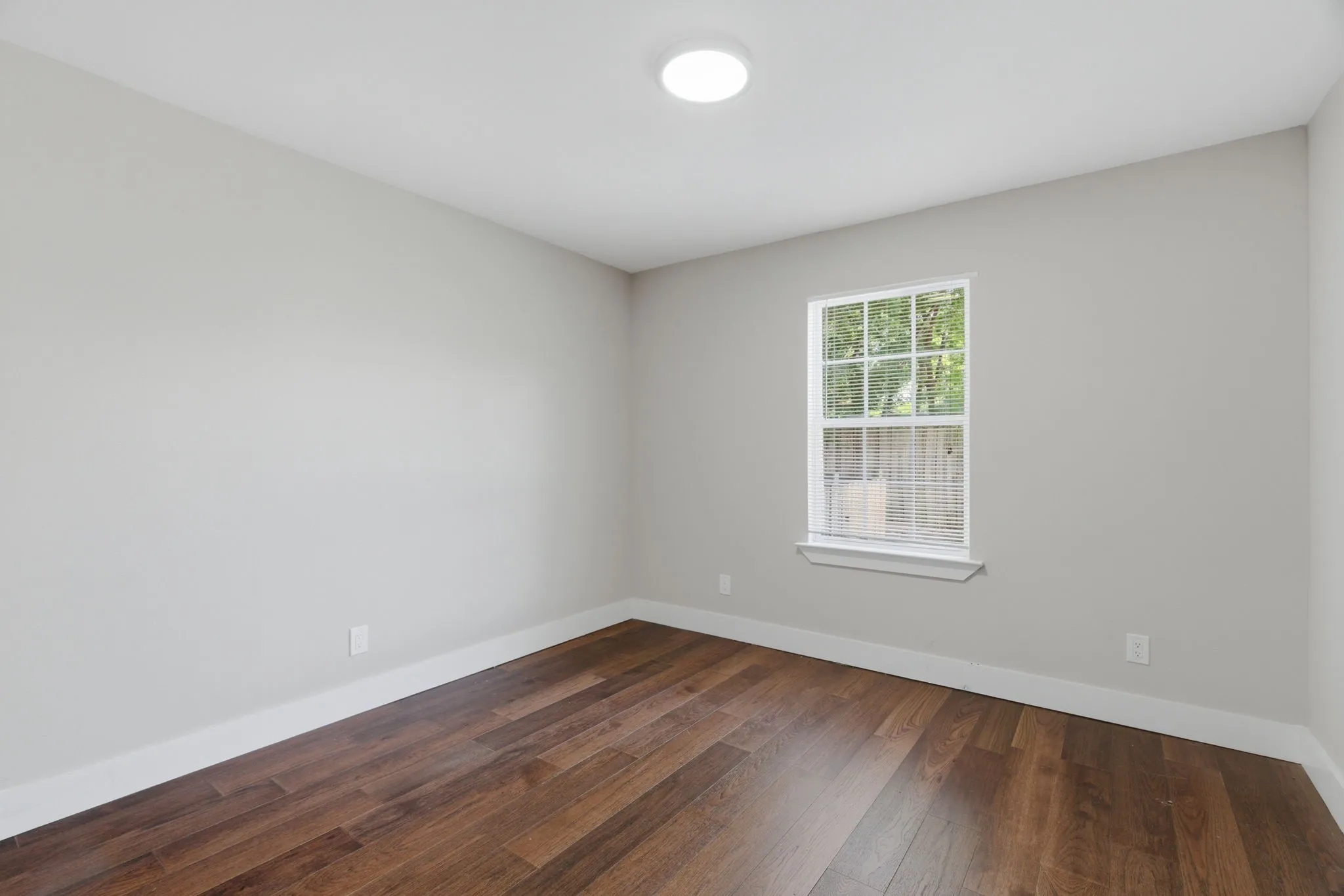 Spacious room featuring wood-finish flooring, light gray walls, a flush-mount ceiling light, and a multi-pane window