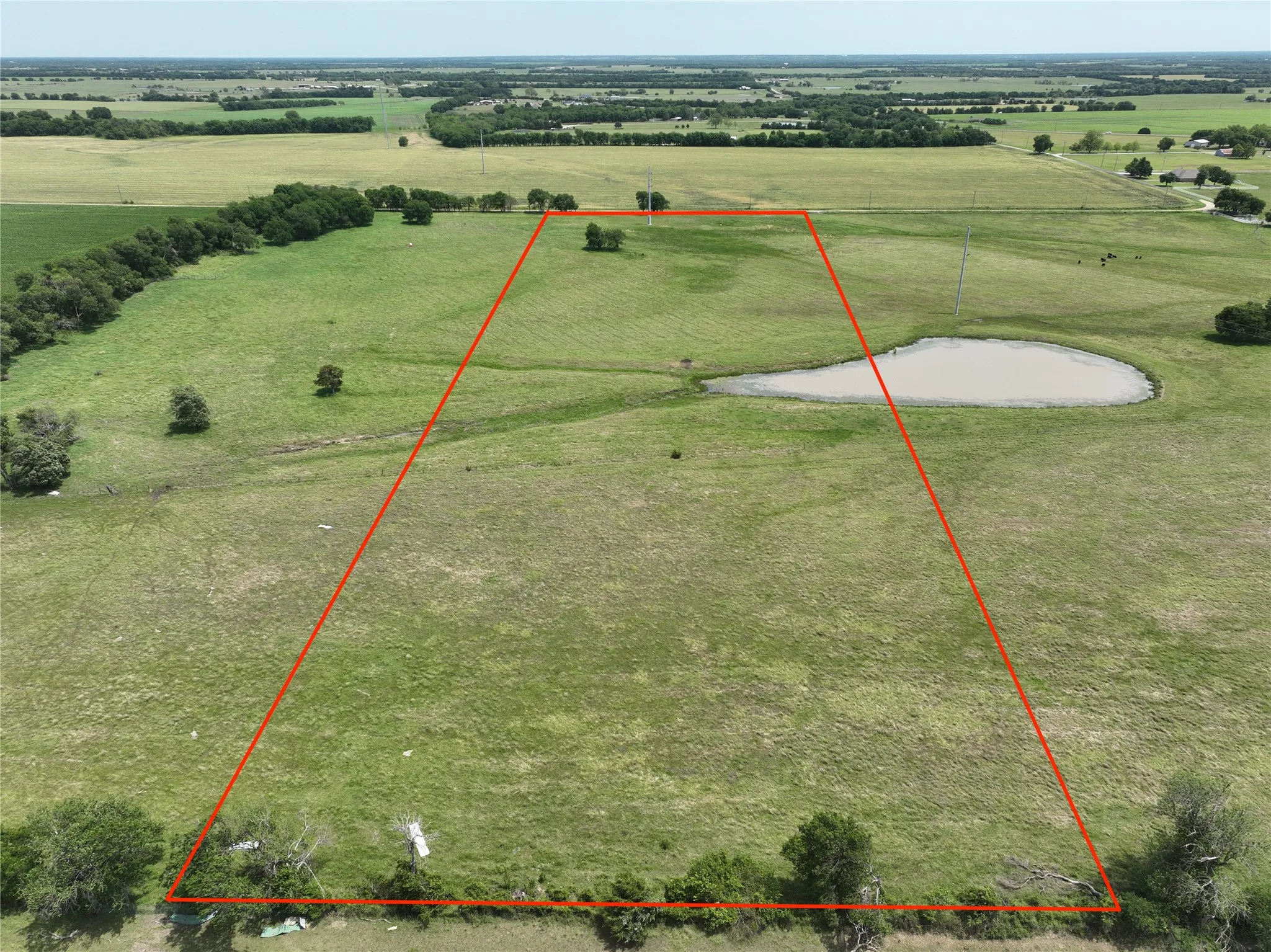 Expansive green pastureland featuring a small pond and scattered trees