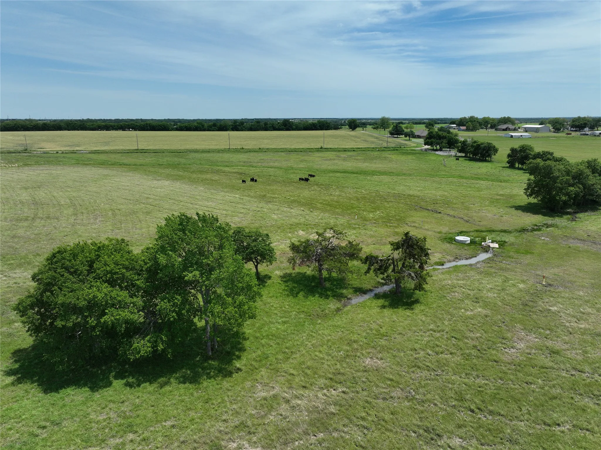 Unimproved Land For Sale in Fannin County , TBD Tract 4 County Road 4830, Leonard, Texas 75452, 0, 0, Garage spaces, 0 Sqft, built in 0, mls#21290792, Real Estate Agent in Leonard, Homes For Sale in Fannin county, Homes For Sale in Leonard, Realtor in Leonard Texas, Real Estate Brokerage Independent Realty Texas, Luminita Cordes Realtor