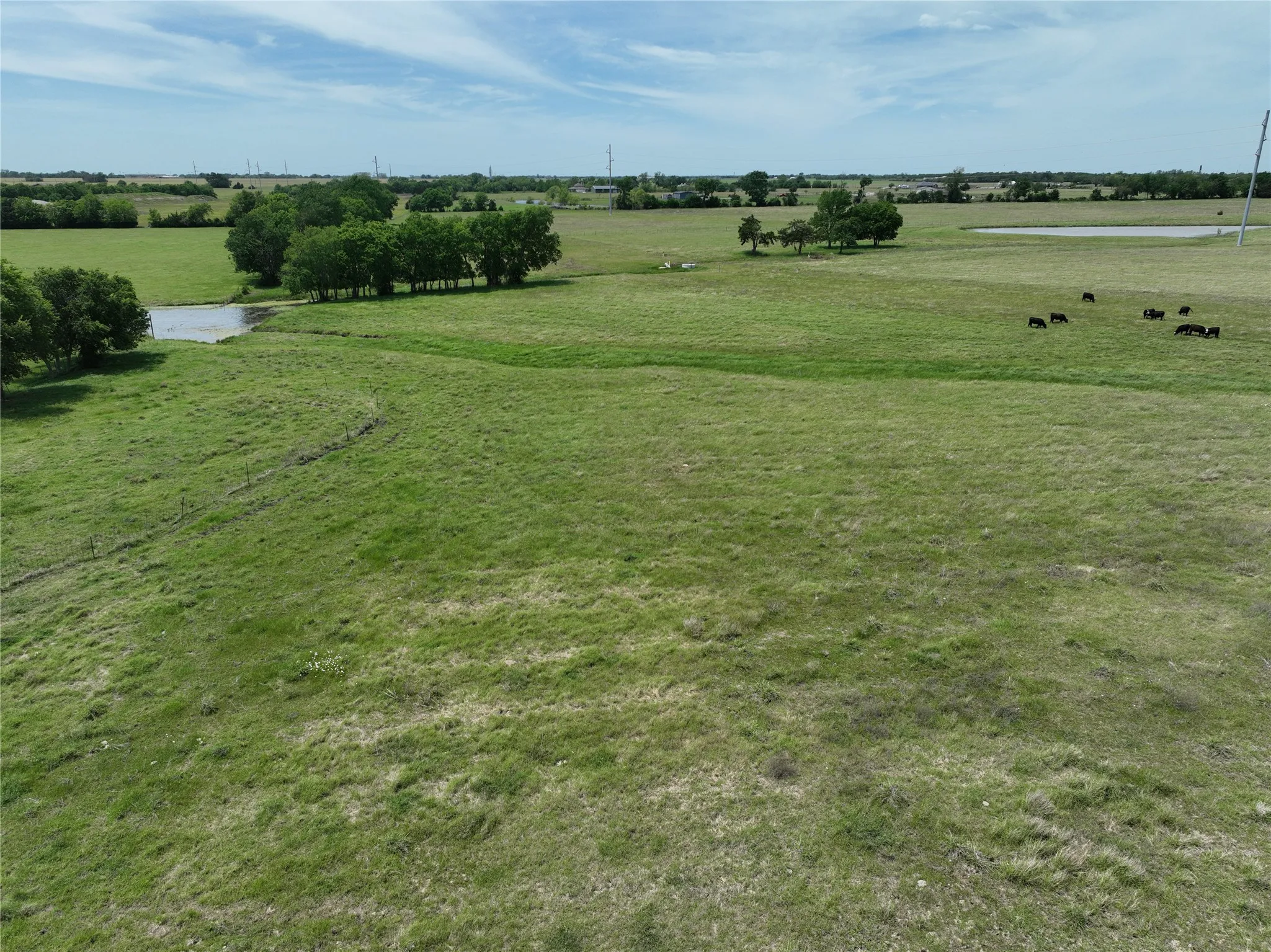 Unimproved Land For Sale in Fannin County , TBD Tract 4 County Road 4830, Leonard, Texas 75452, 0, 0, Garage spaces, 0 Sqft, built in 0, mls#21290792, Real Estate Agent in Leonard, Homes For Sale in Fannin county, Homes For Sale in Leonard, Realtor in Leonard Texas, Real Estate Brokerage Independent Realty Texas, Luminita Cordes Realtor